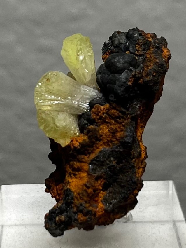 adaminte on limonite matrix ex. Rock Currier no. 146