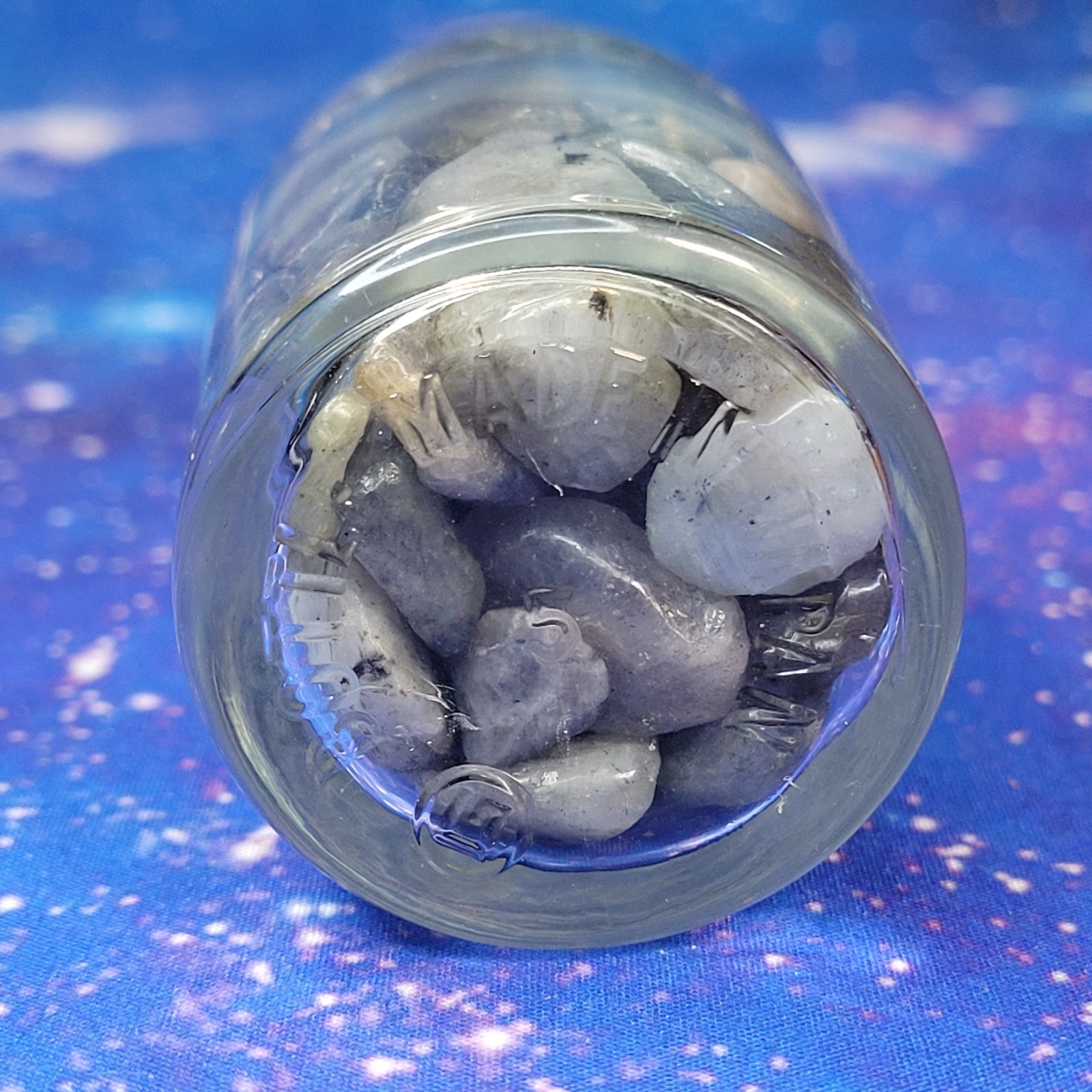 1/4 lb Labradorite Crystal Tumbles in Vintage Apothecary 4oz Glass Jar Witchy