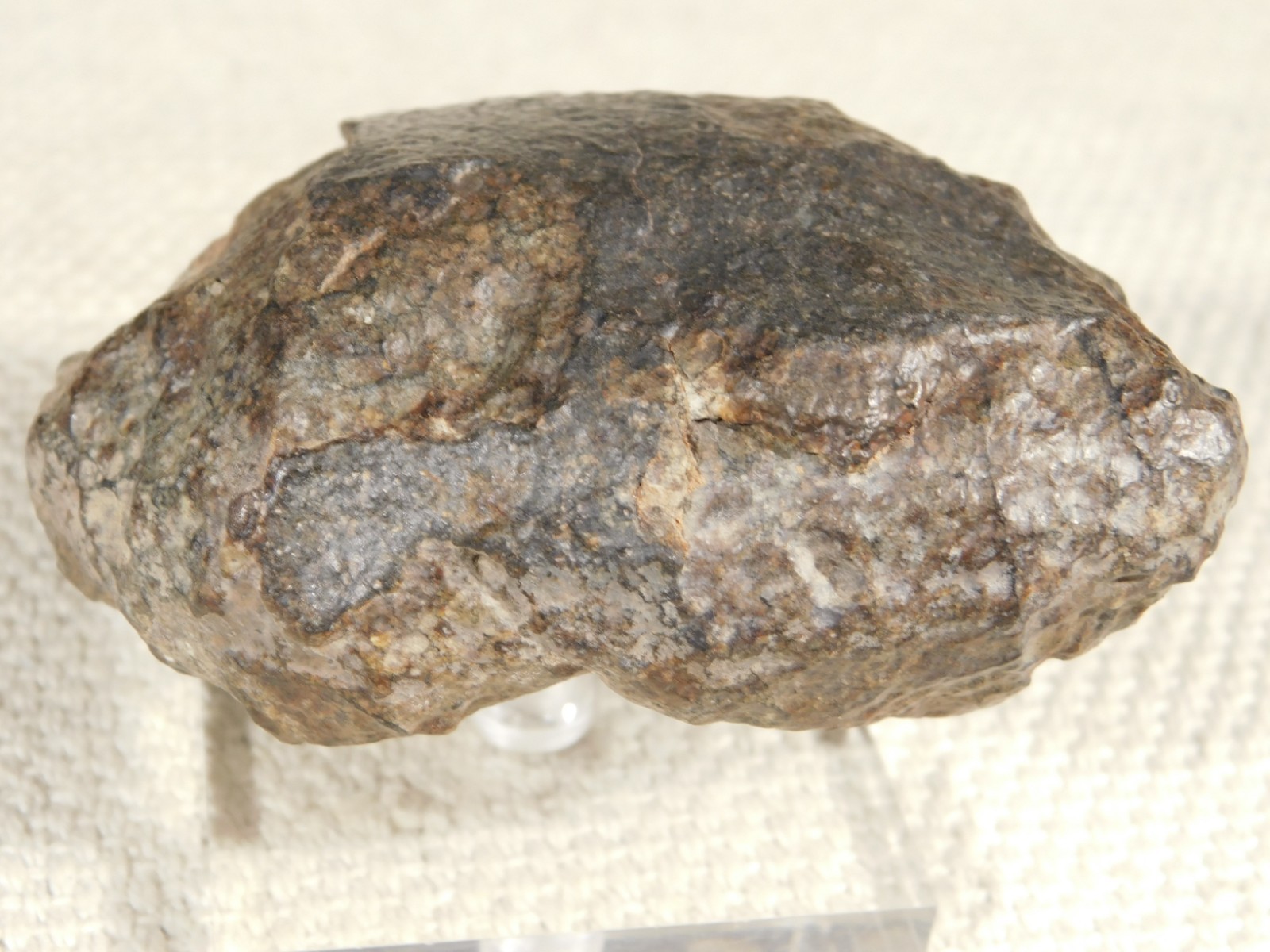 Larger N.W.A 869 Stony METEORITE with Dark Fusion Crust 197gr