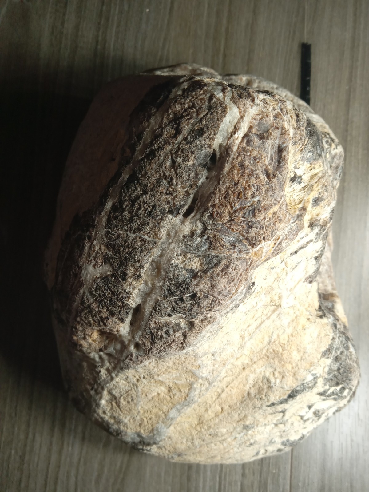 Giant Geode 12+lb Unique Quality Crystal Cluster Break Your Own Quartz Mineral