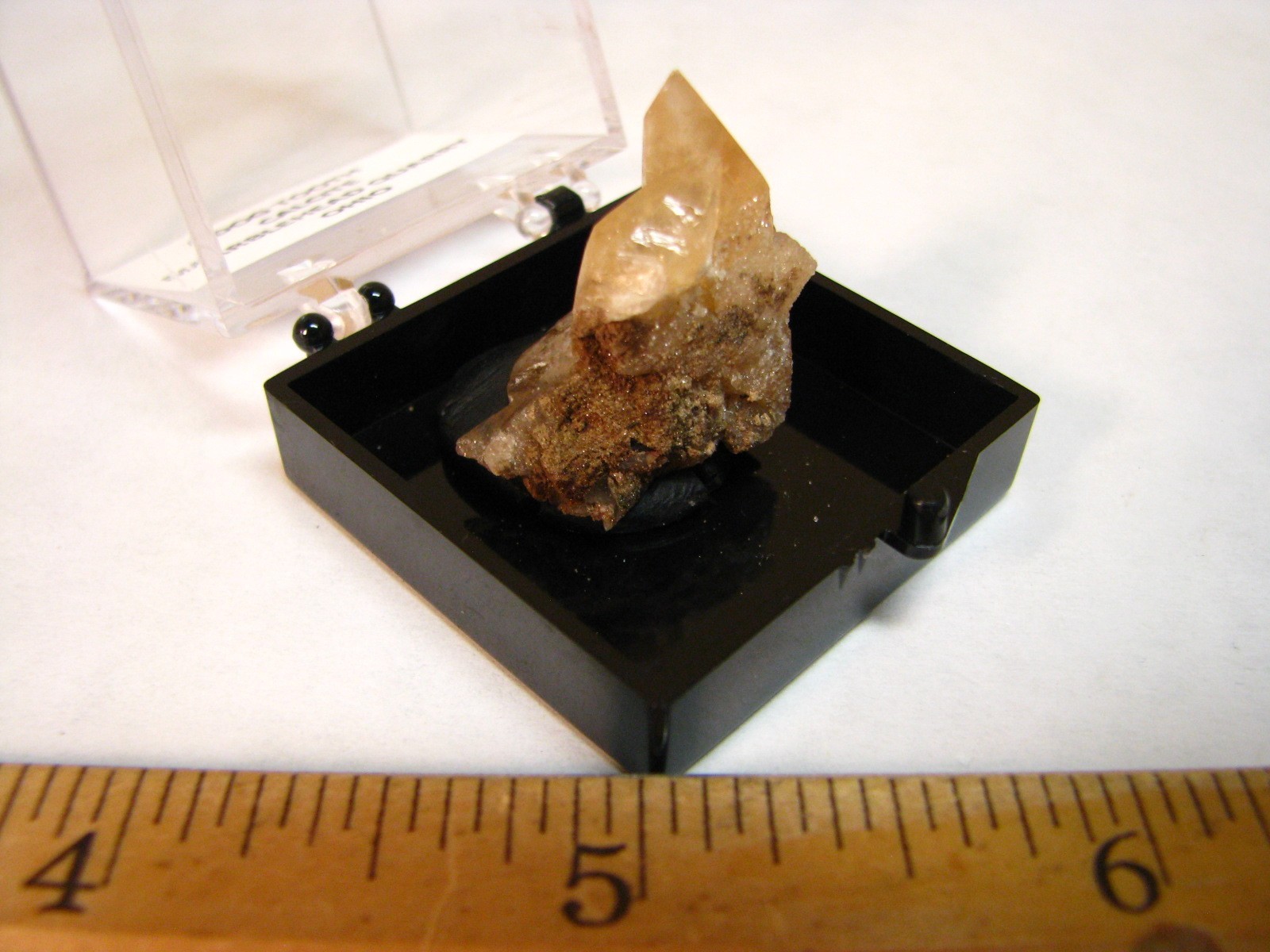GOLDEN DOGTOOTH CALCITE CLUSTER THUMBNAIL IN CASE MARBLEHEAD QUARRY OHIO #224