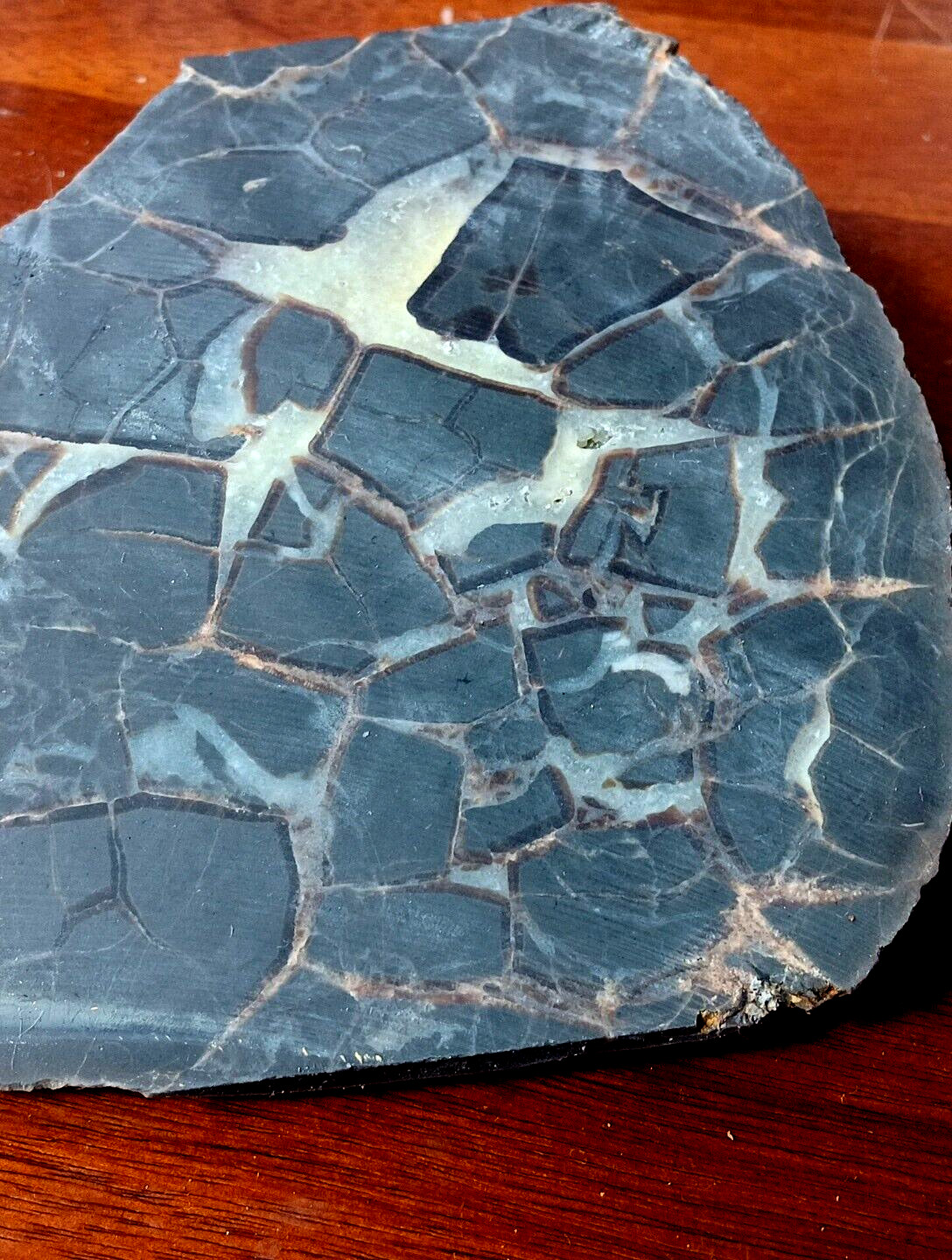 Septarian Nodule UV Reactive End Cut Display Crystal Specimen Glows Purple
