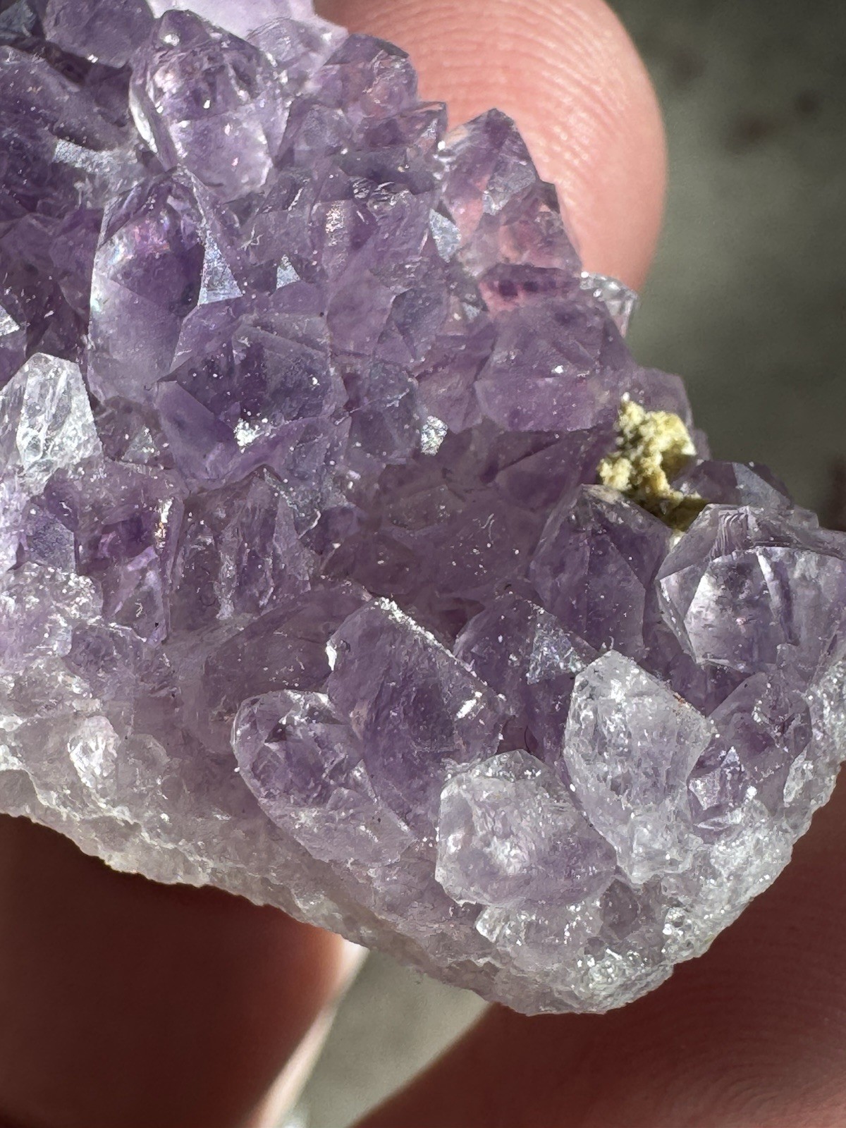 ✨Amazing African Amethyst Cluster