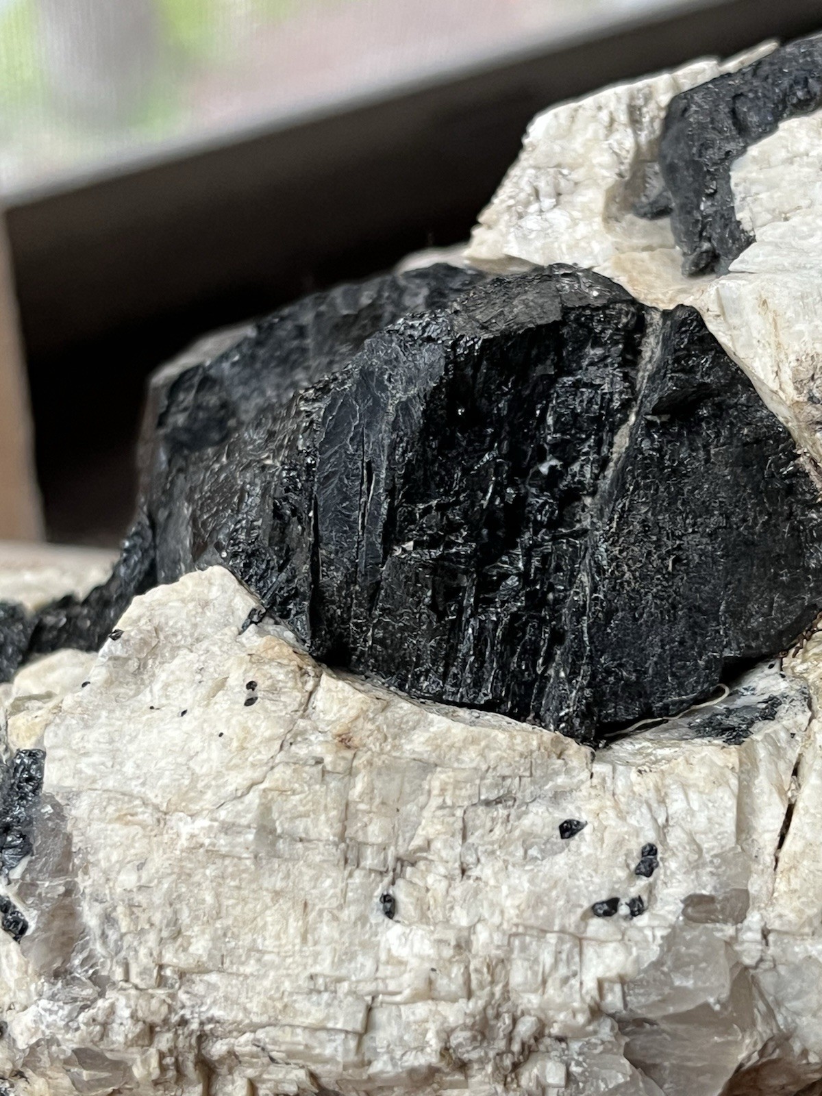HUGE 6lb 9” Black Tourmaline Schorl Crystals In Matrix Maine USA Locality Quartz