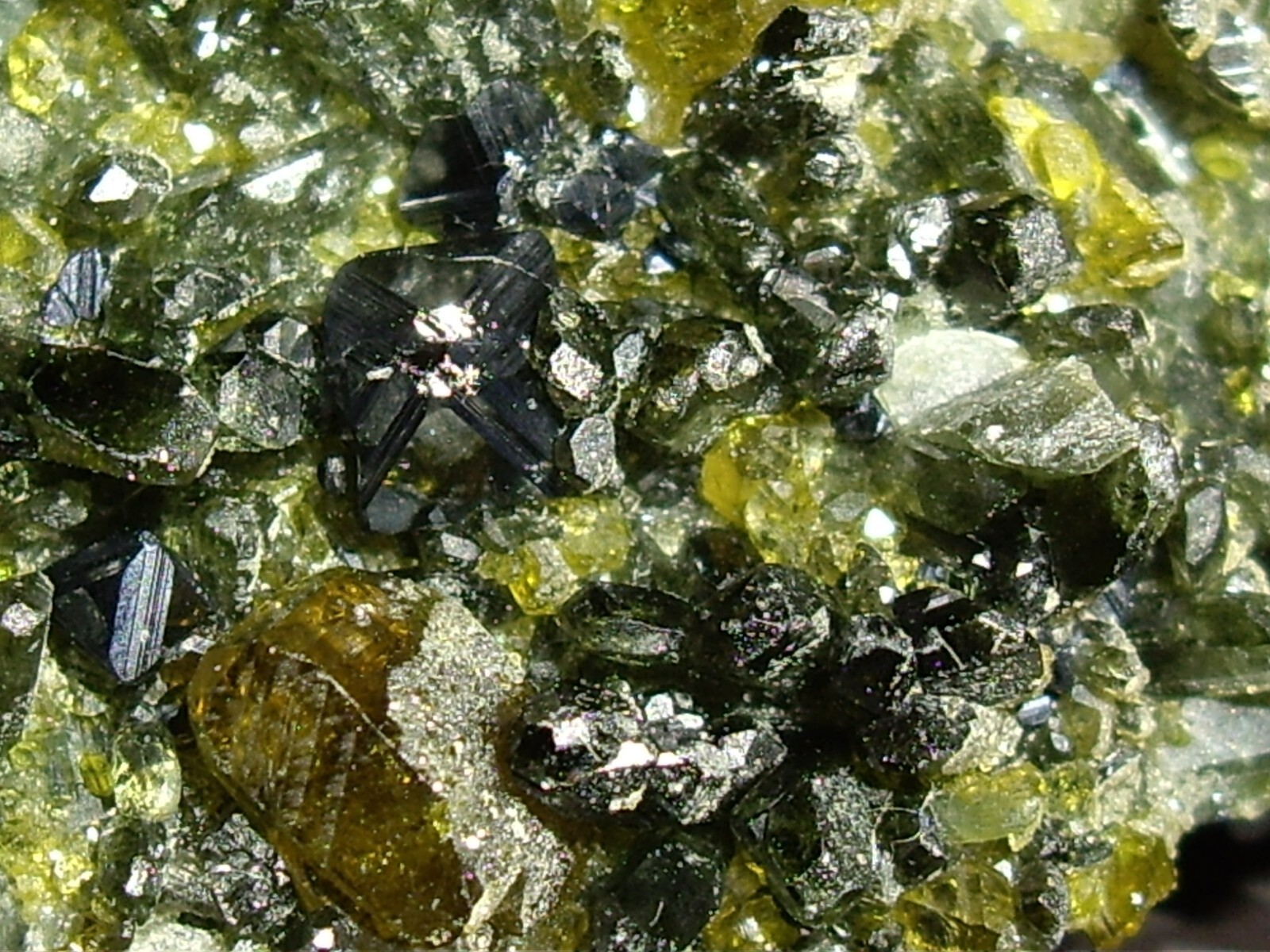 Awesome Magnetite, Vesuvianite, Garnet, and Diopside Crystals on Matrix 23.3g
