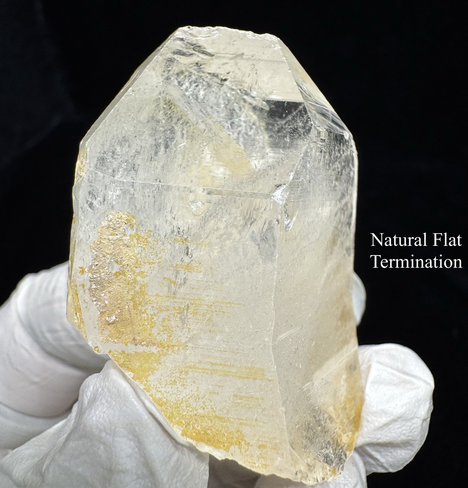 “Golden Archive Tablet” Ganesh Himalayan Flat Top Curved Lemurian Quartz Crystal
