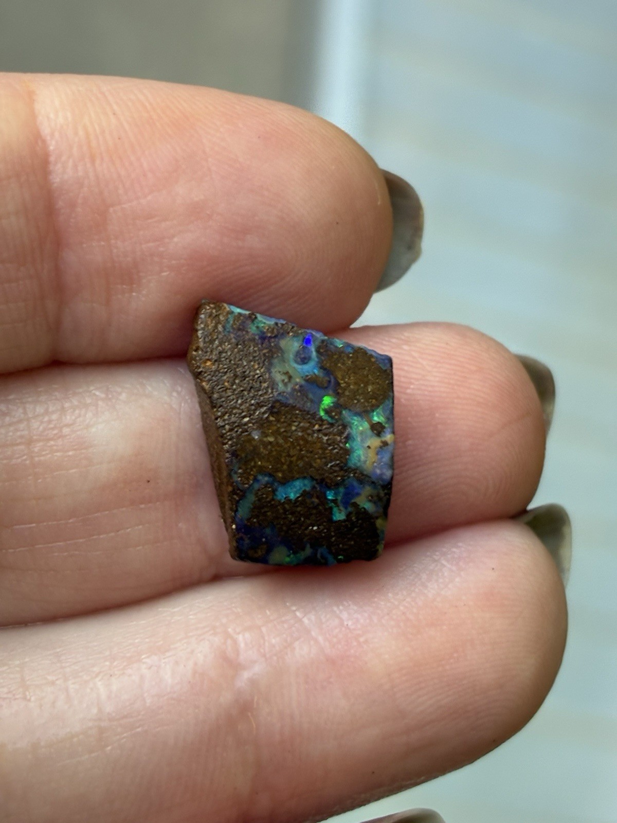 6ct Australian Small Pretty Boulder Opal Rough Loose Multicolor Specimen A21