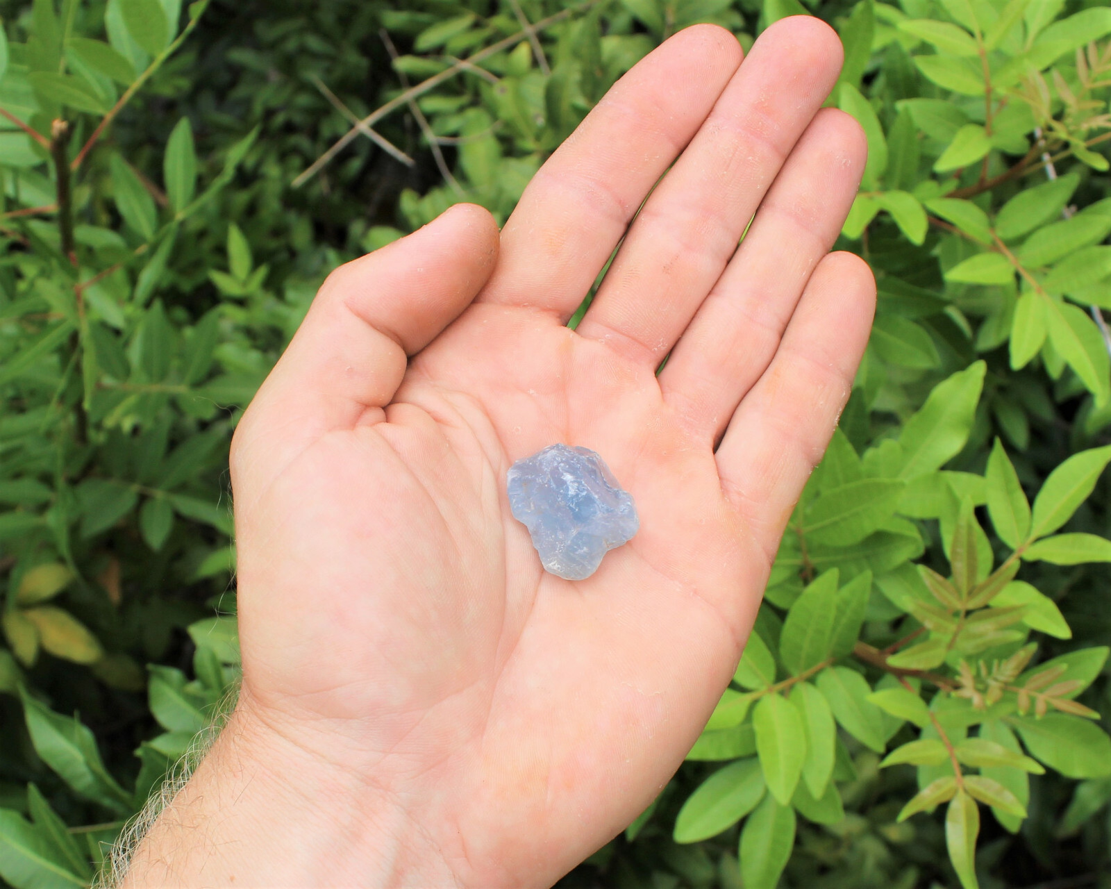 Celestite Rough Chips Natural Stones: Lot of 4 Pieces