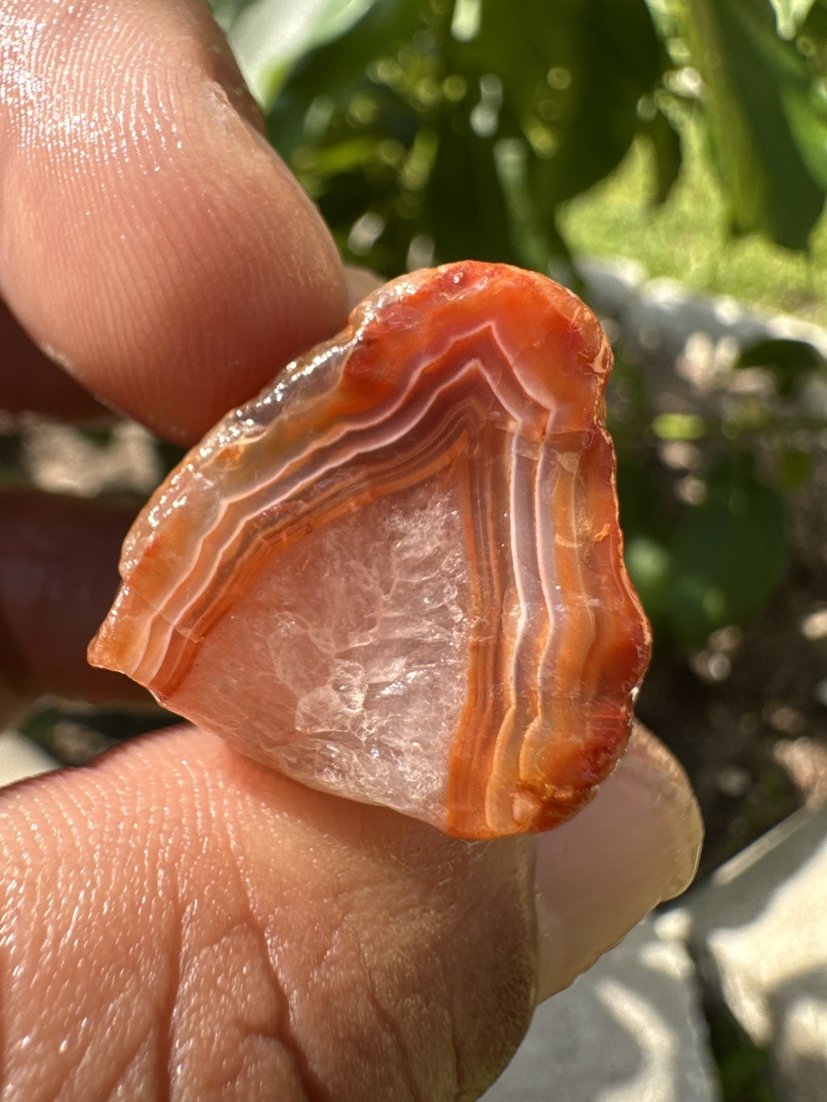 3.90 oz Lake Superior Agate Lapidary Lot 5 Multicolor Beauty’s