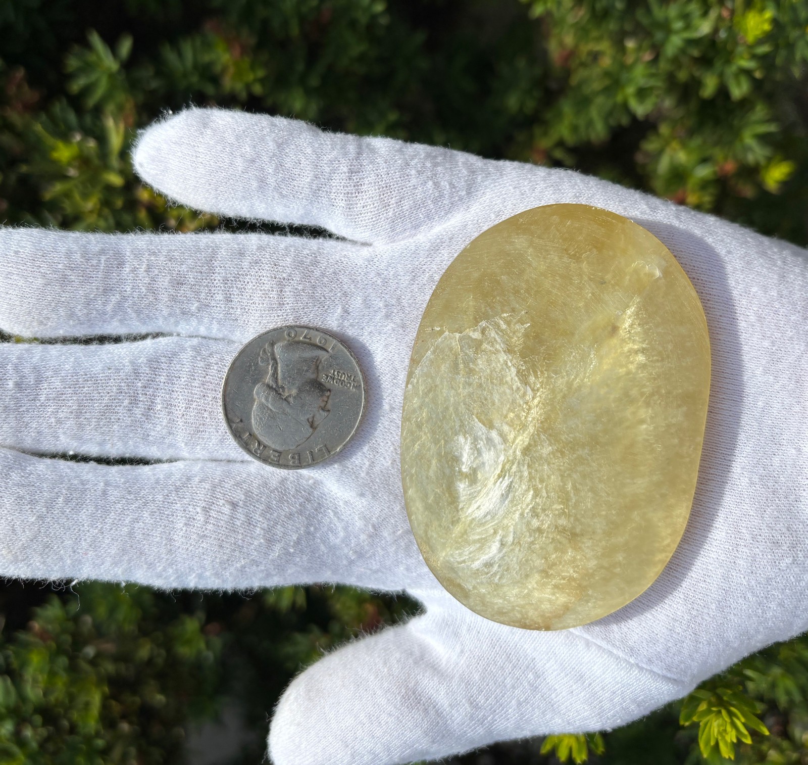 92g 2.74″ UNCOATED YELLOW GOLDEN GOLD MICA PALMSTONE PALM STONE NON-LACQUERED
