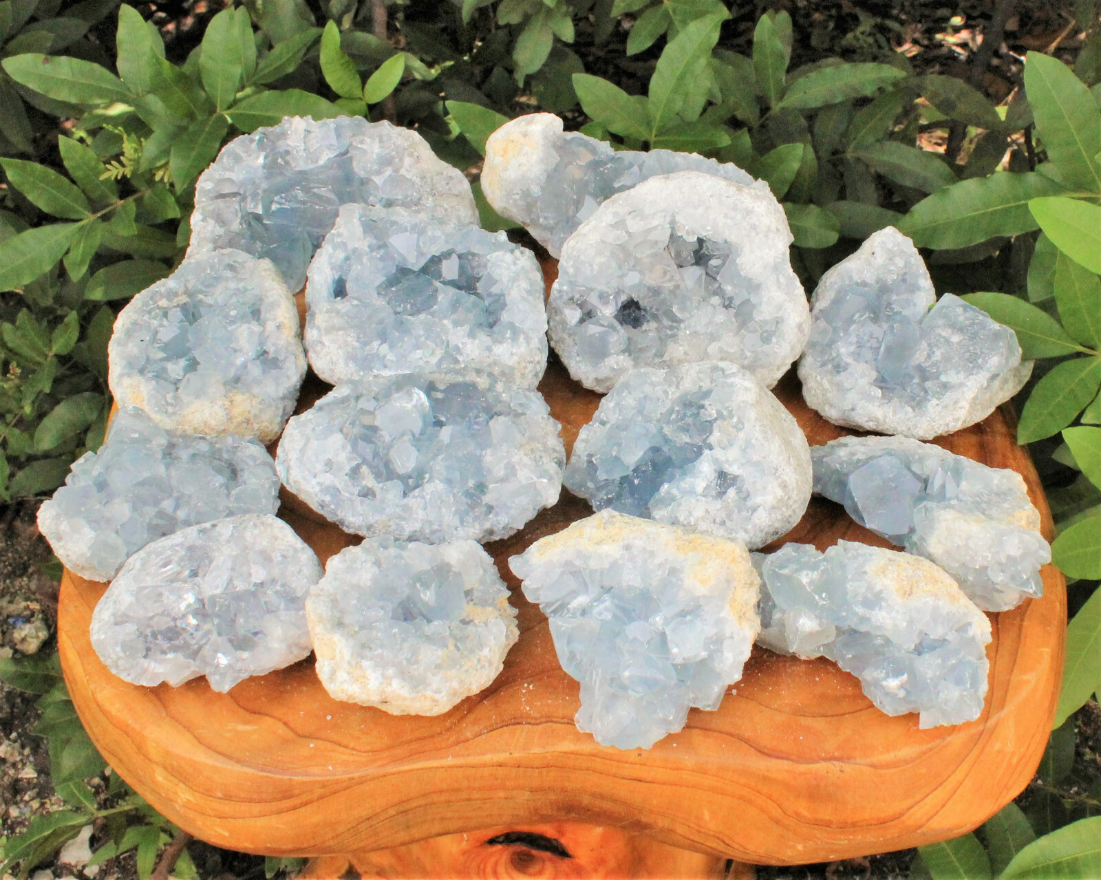 1 x AAA Grade Celestite Cluster LARGE 3″ – 4″ Blue Celestine Druzy (1 – 1.5 lb)