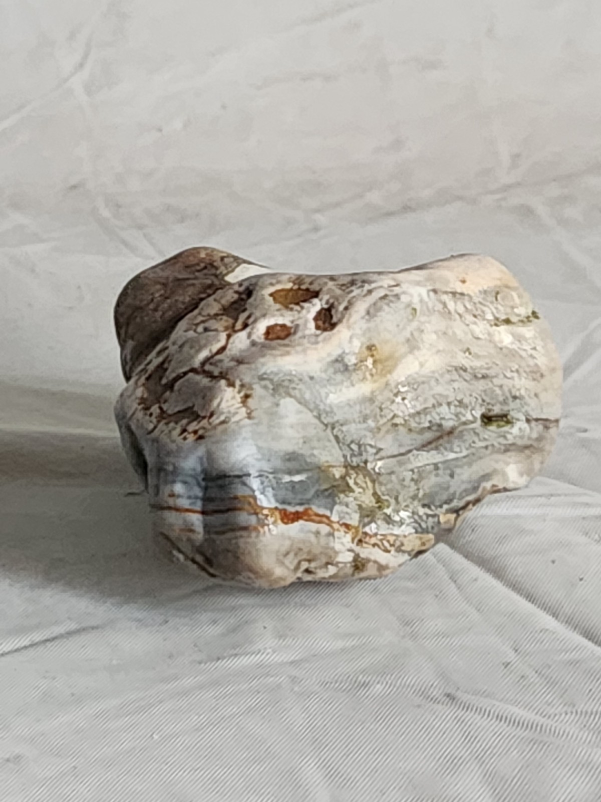 Lake Superior Agate Wisconsin 5.6 oz • Not Polished