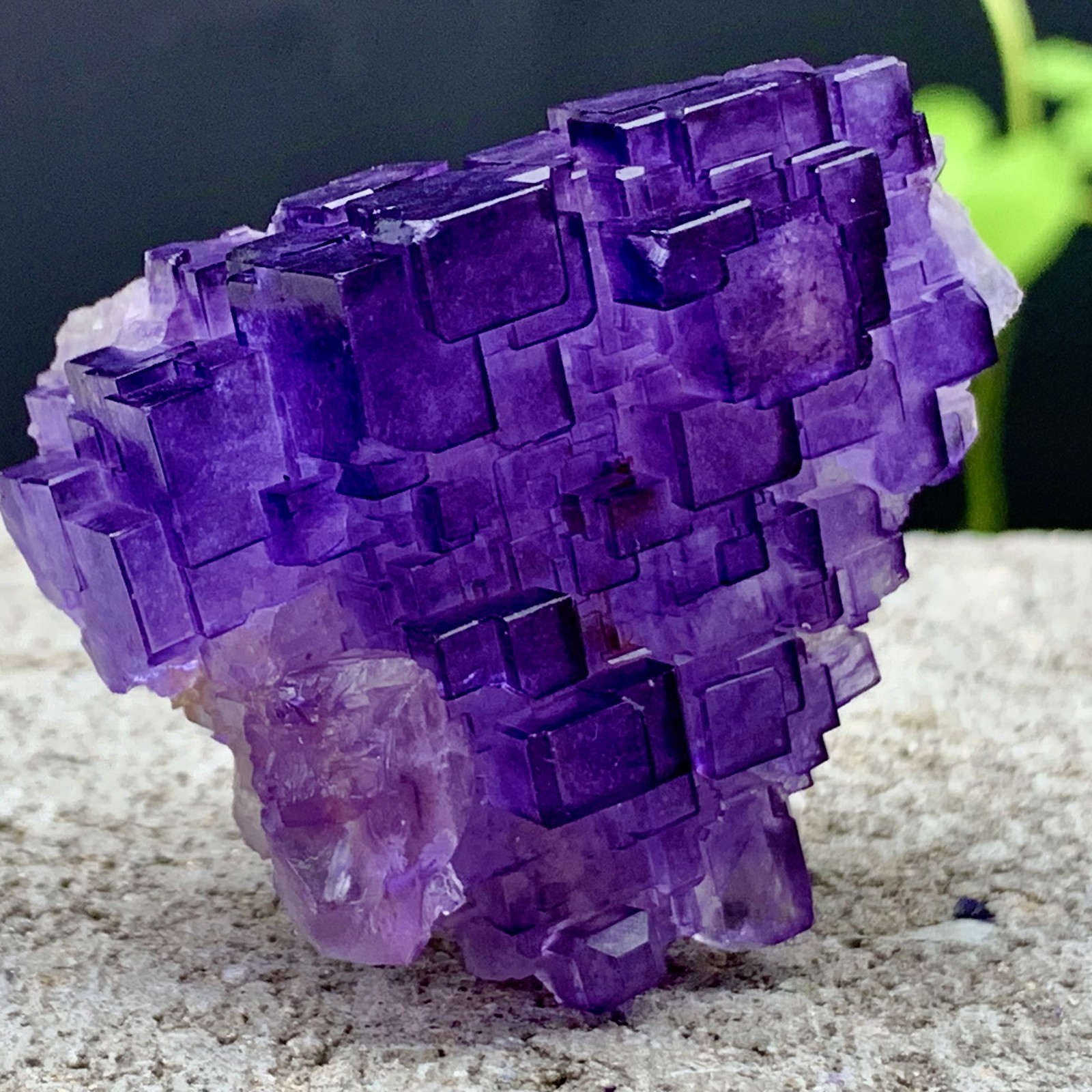 53G Natural purple fluorite Matrix array stepped fluoritemineral specimen/China