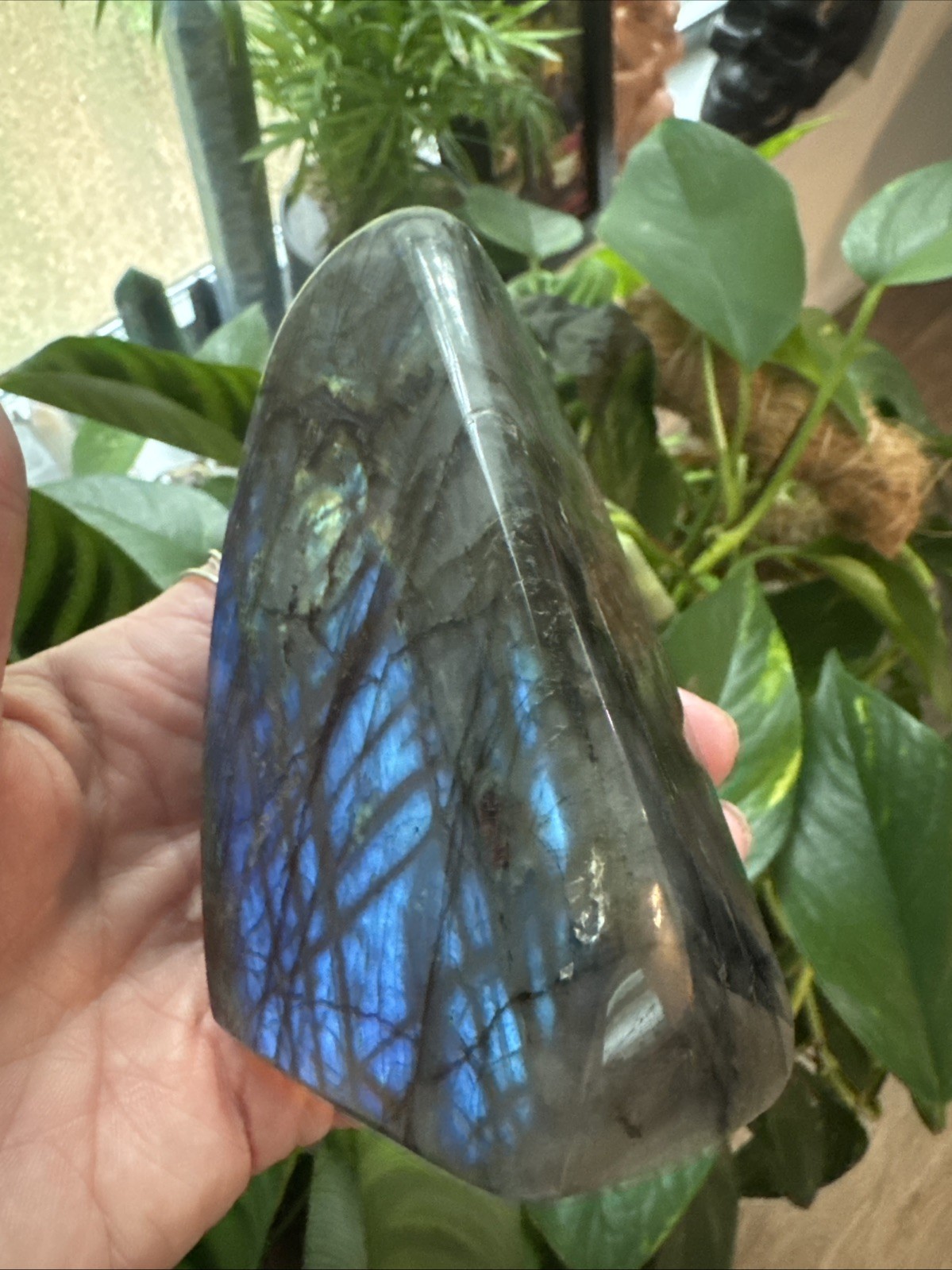 Labradorite Crystal Freeform 522 Grams 4.25”