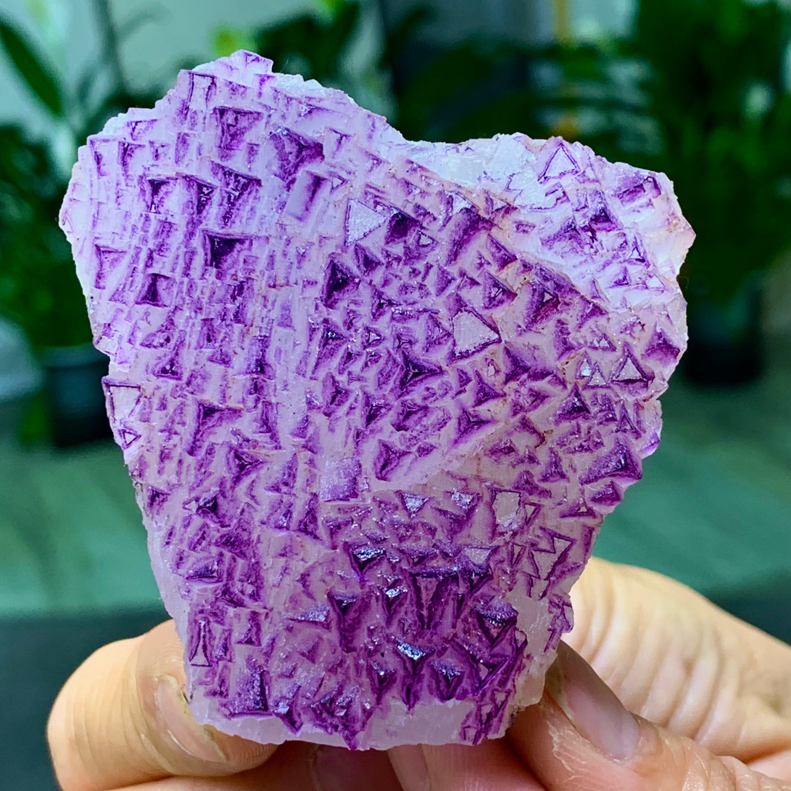 153G Natural fluorite purple edged cubic crystal mineral sample
