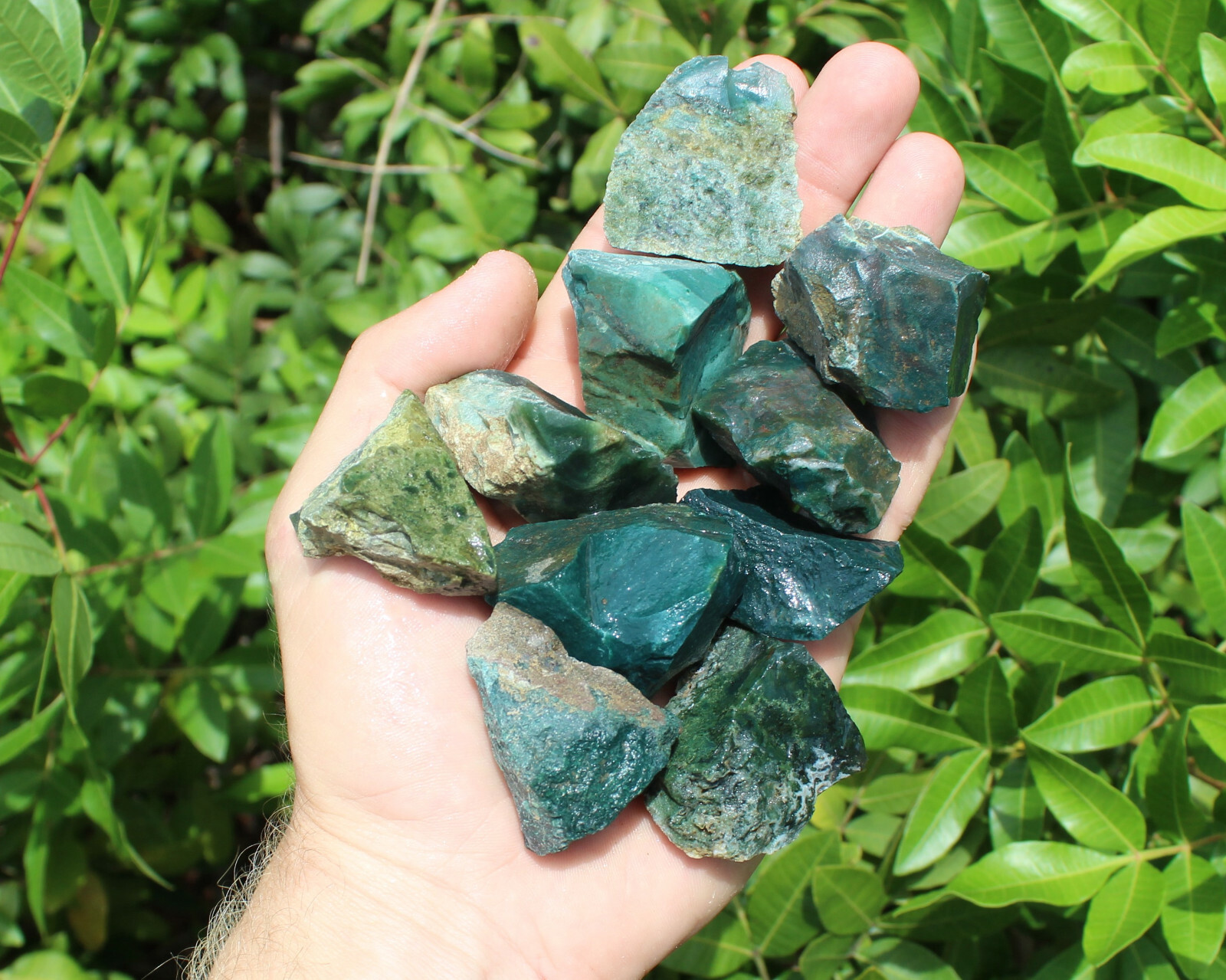 5 lb HUGE Bulk Lot Natural Rough Moss Agate (Raw Rock Stone Crystal Healing)