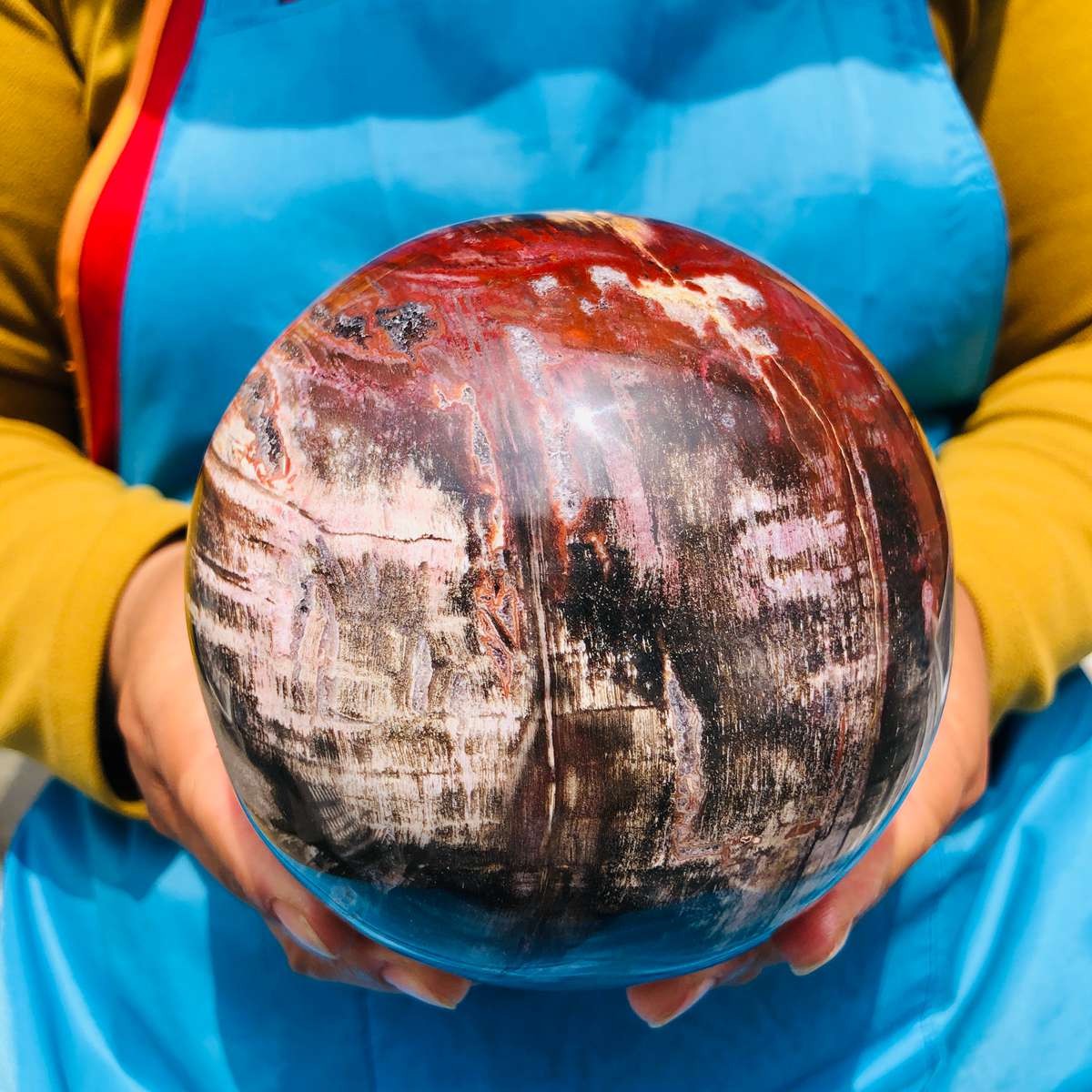 5.06LB Rare Natural Petrified Wood Ball Crystal Quartz Mineral Healing 4705