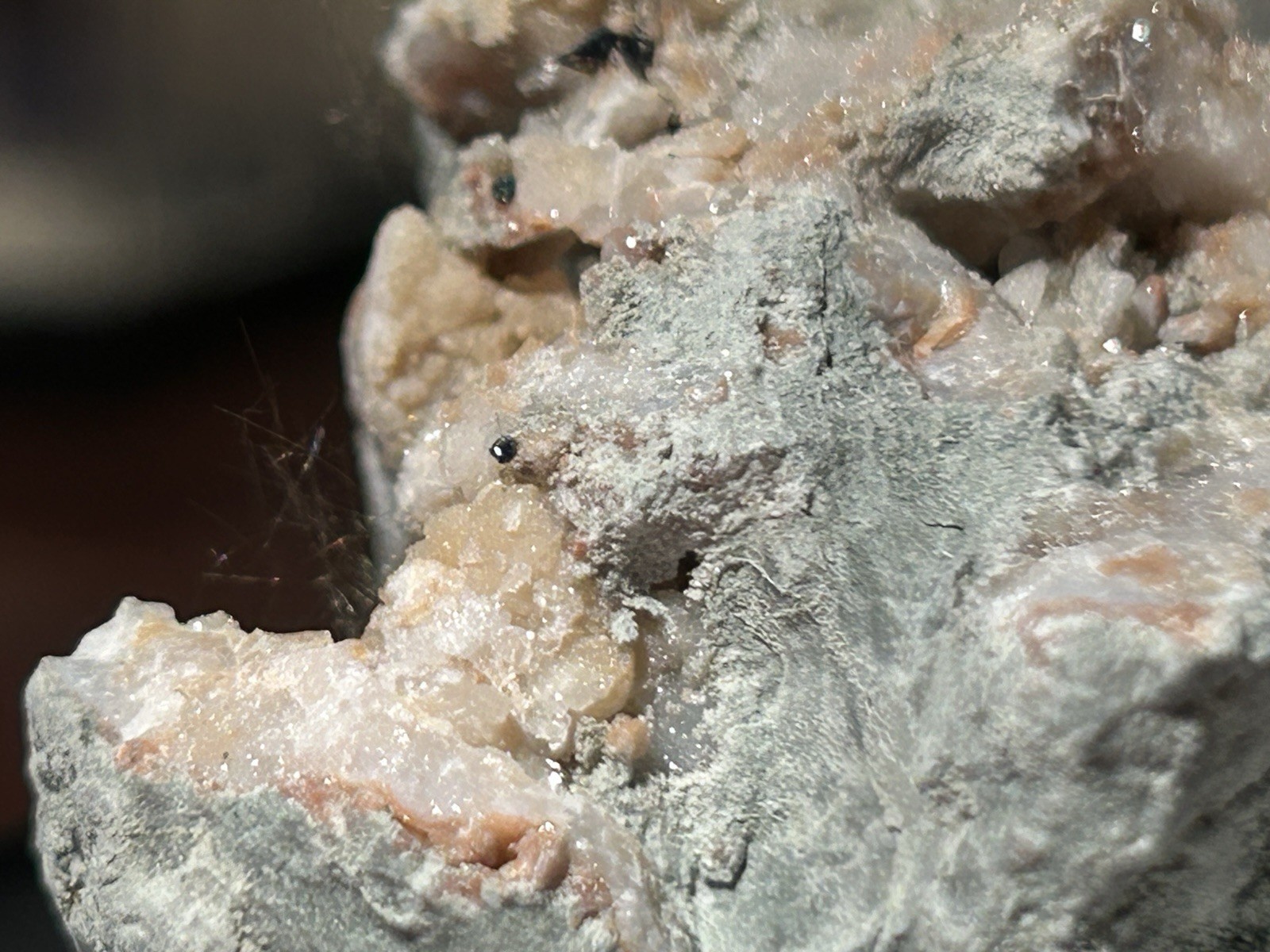 MILLERITE, Chalcopyrite, Pyrite, Quartz – Halls Gap, Lincoln County, Kentucky