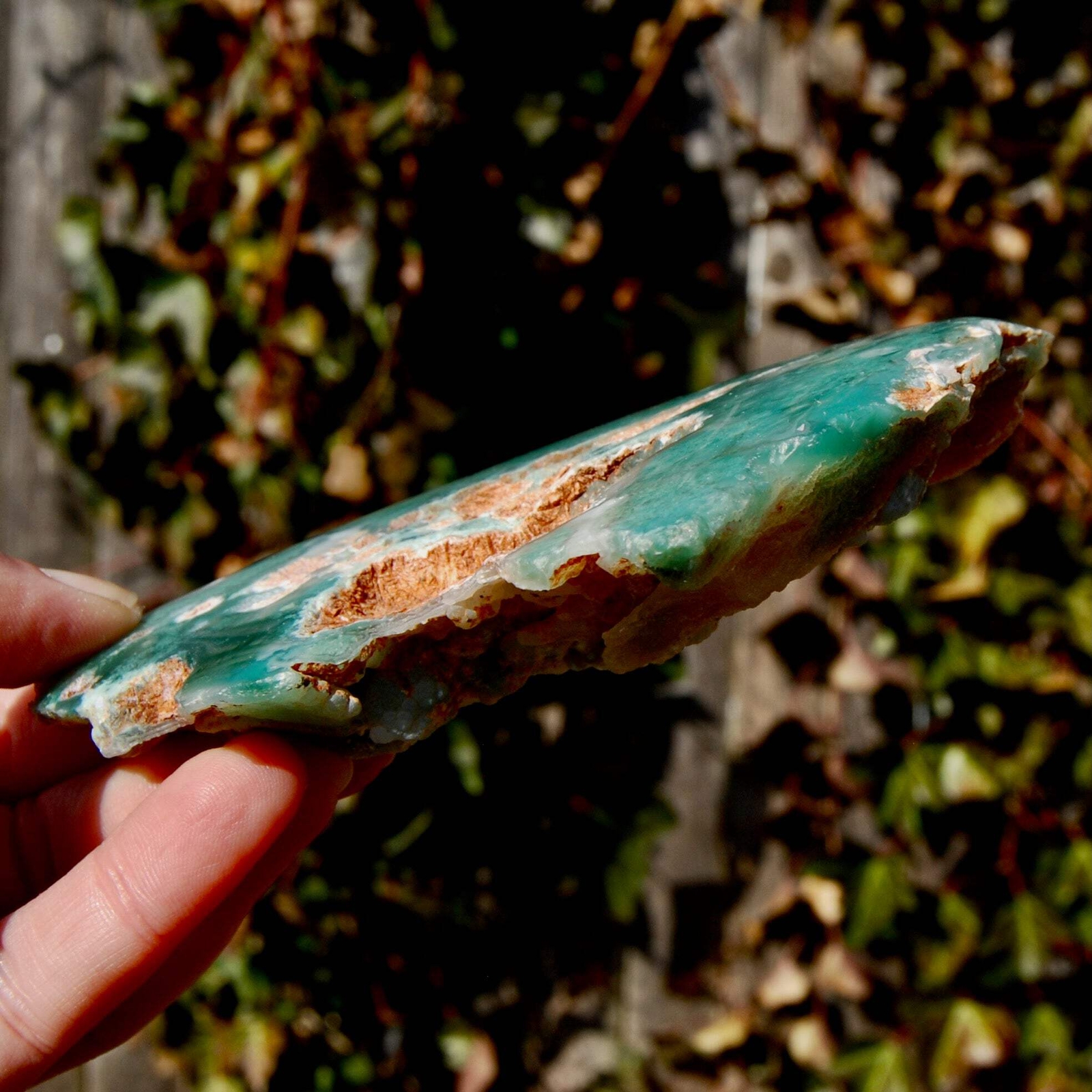 5.25in 237g Large Mtorolite Chrome Chalcedony Crystal Slice, Zimbabwe mtl4