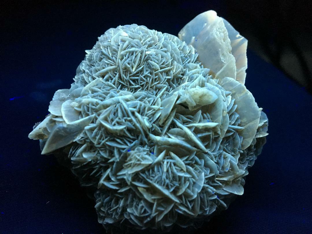 KB: BRIGHT FL. YELLOW/WHITE SW/LW/PHOS. GYPSUM XLS. FROM CANADA