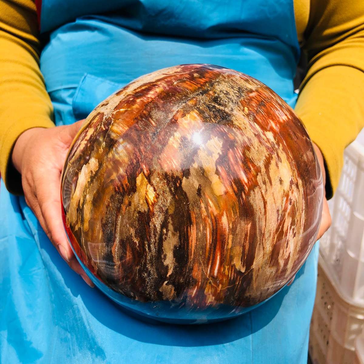 16.1LB Rare Natural Petrified Wood Ball Crystal Quartz Mineral Healing 4708