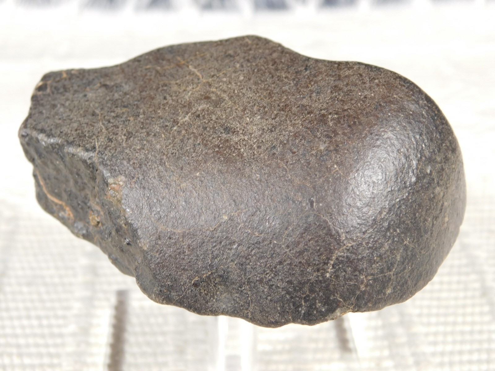 wOw! Larger! Stony METEORITE with DARK Silky Fusion Crust! FELL in Libya 219gr