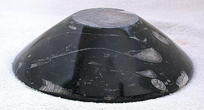 7 7/8 Inch x 2 3/8 Inch Orthoceras Fossil Handcrafted Moroccon Bowl MB4/52225