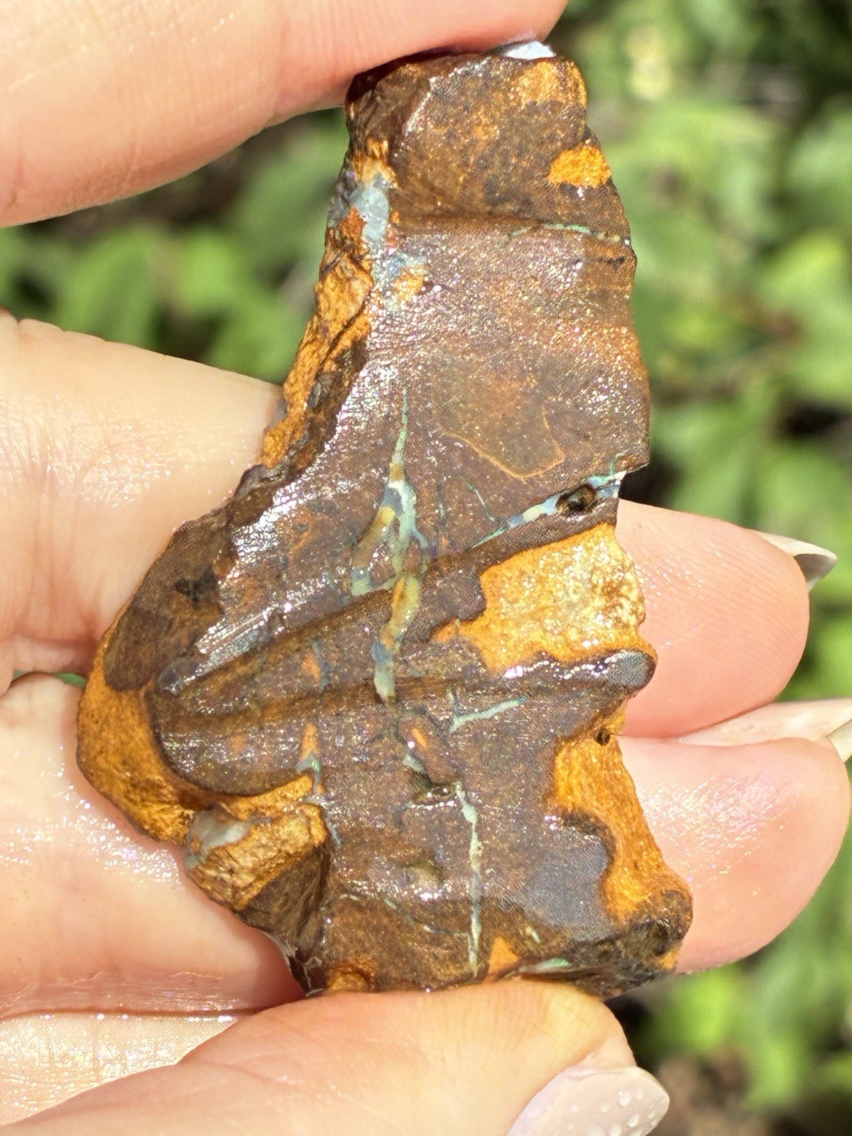 Beautiful 88ct Large Australian Boulder Opal Rough Loose Spider Specimen Green D
