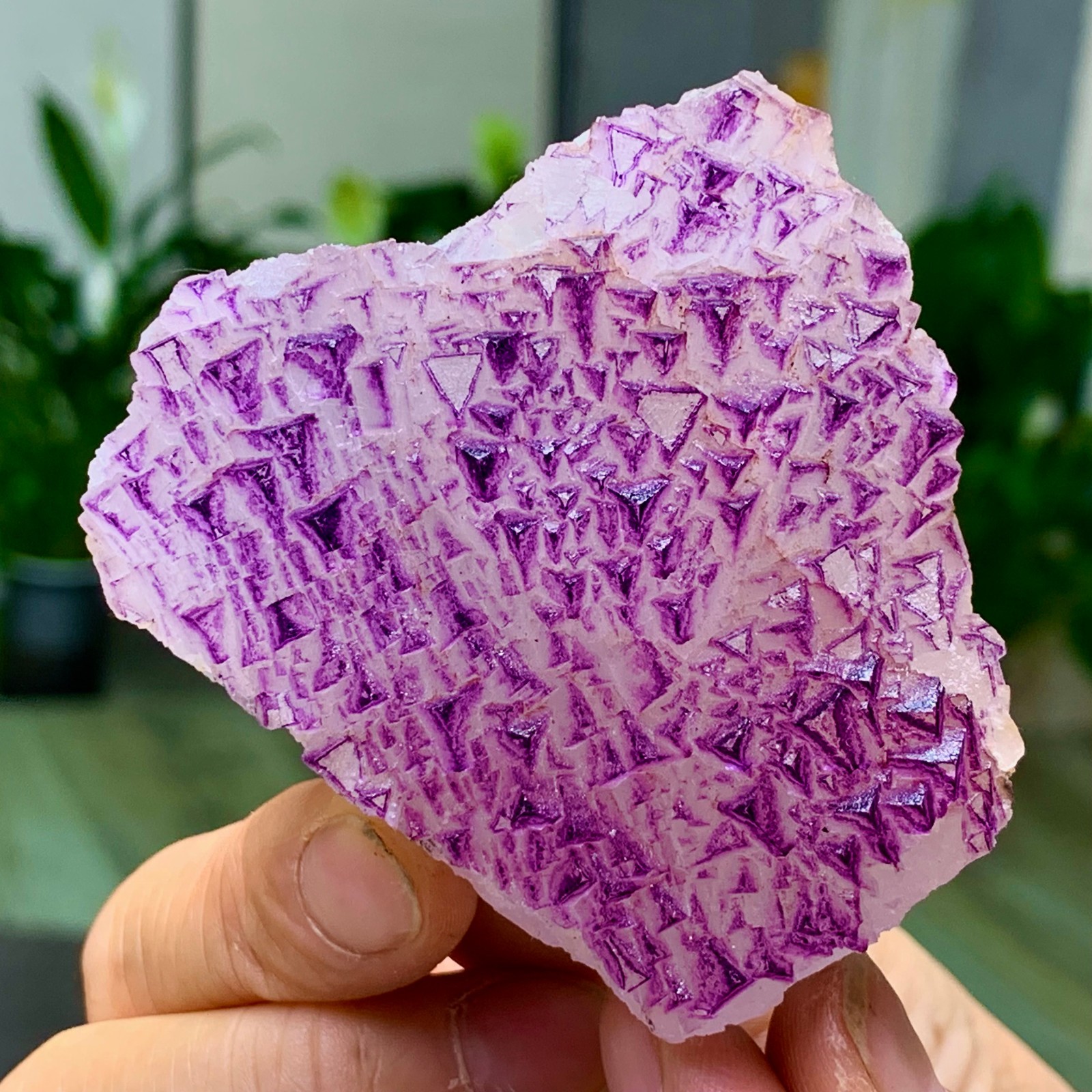 153G Natural fluorite purple edged cubic crystal mineral sample