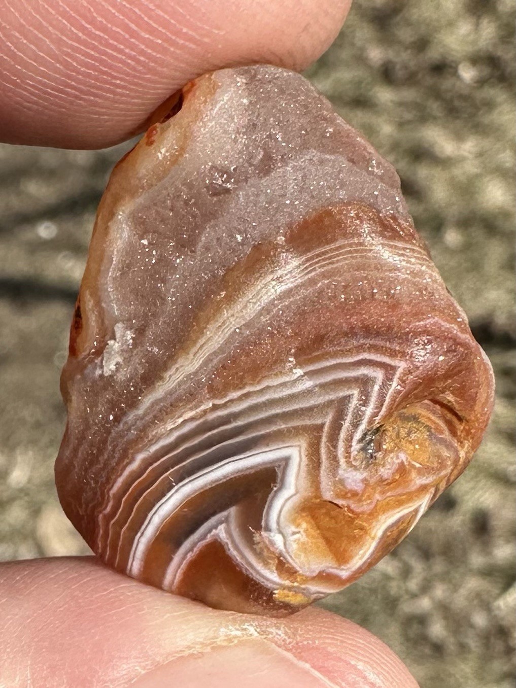 2.0oz Lake Superior Agate Bundle Of Natural Beauties!