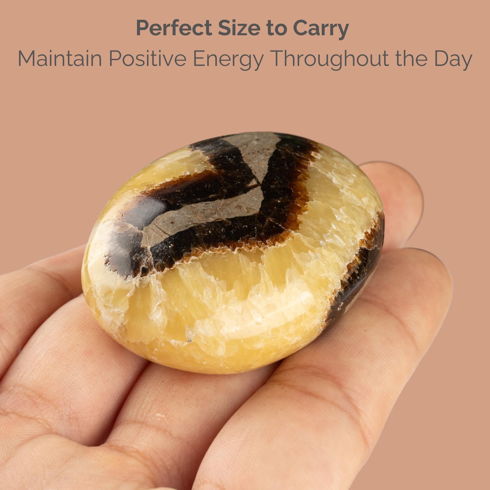 Septarian Palm Stone Crystal – Natural Healing Stone for Anxiety Relief & Medita