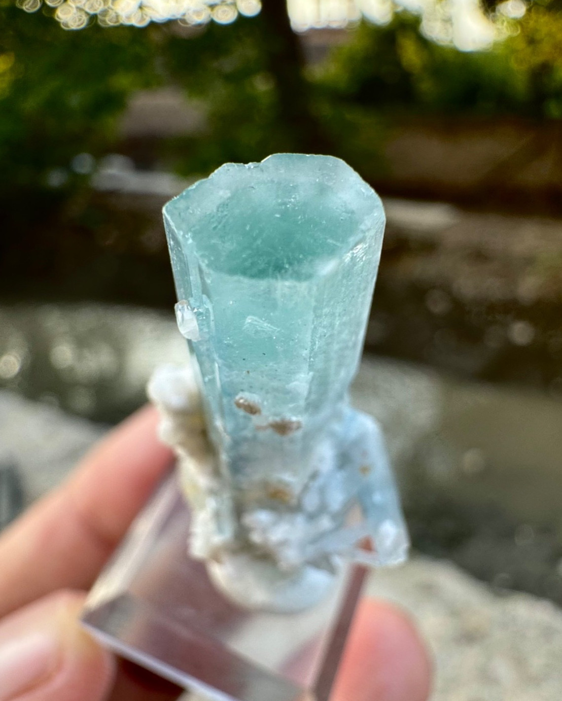 Natural Sky Blue Terminated Aquamarine Crystal , 33 Carats @ Minerals
