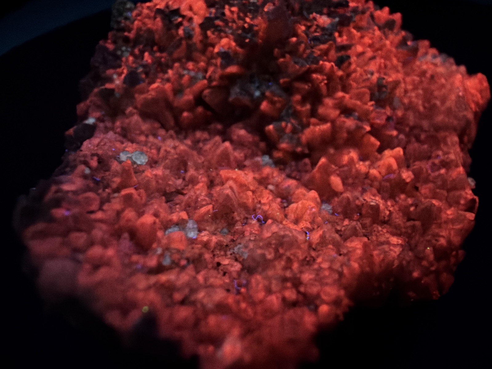 Fluorescent Dogtooth Calcite from Tres Marias Mine, Santa Eulalia, Mex. 120 g.