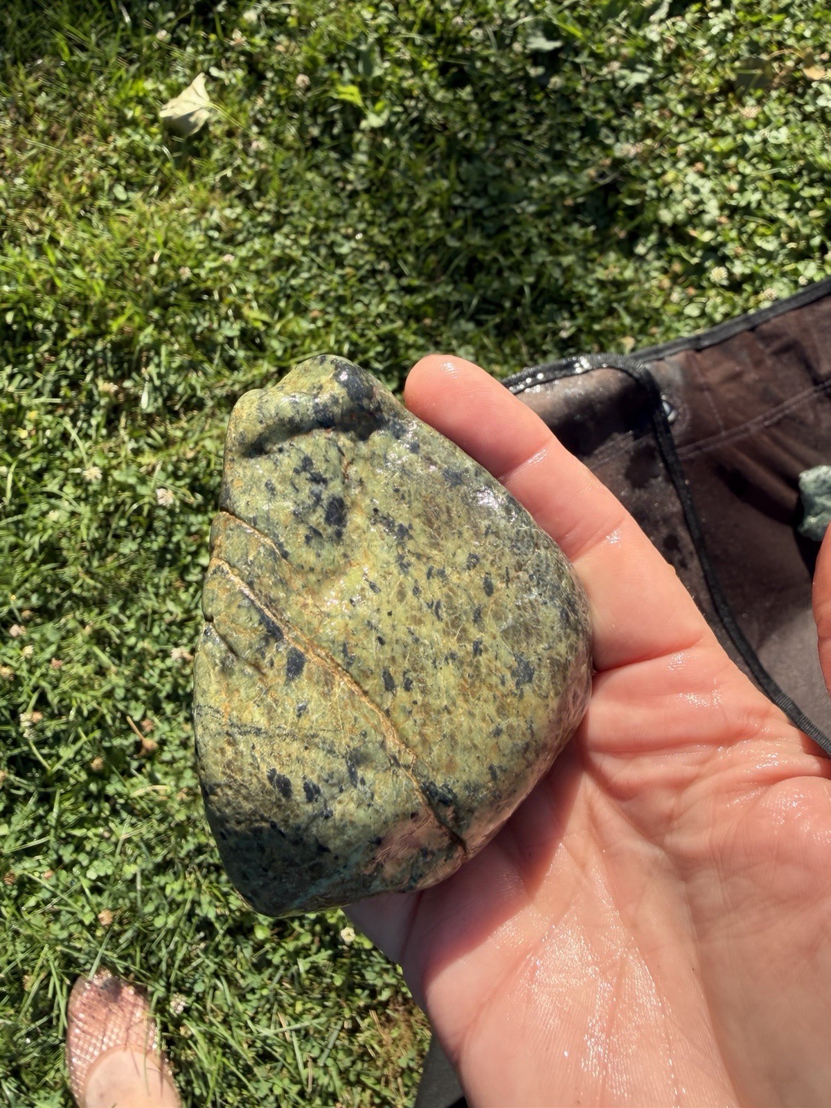 Natural Green Stone with Black Inclusions & Iron Veins |13.7 oz Display Specimen