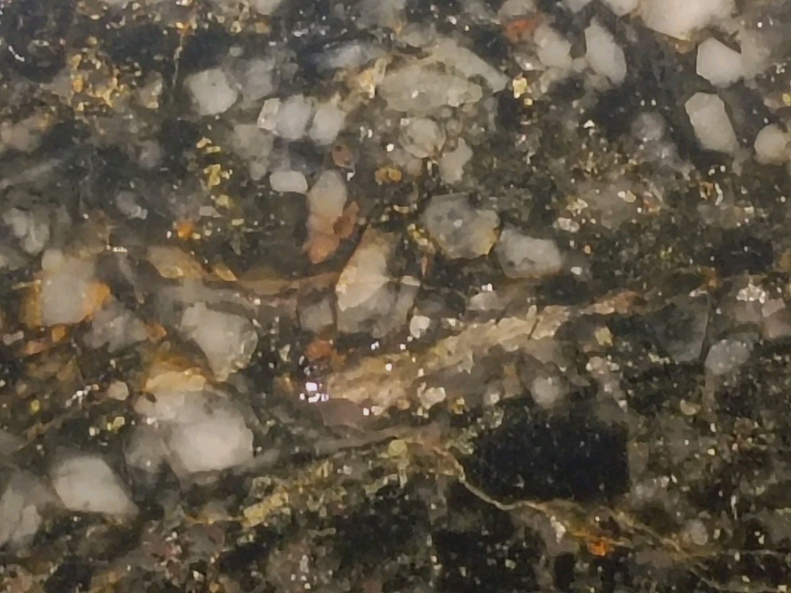 Historic Cox Collection Silver Mines MO Polished Greisen Vein Swarm Relic 1.61lb