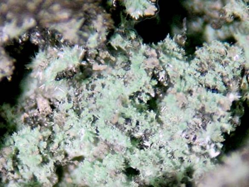 STEPITE, VYSOKYITE – Type Locality – Svornost Mine, Jachymov, CZECH REPUBLIC