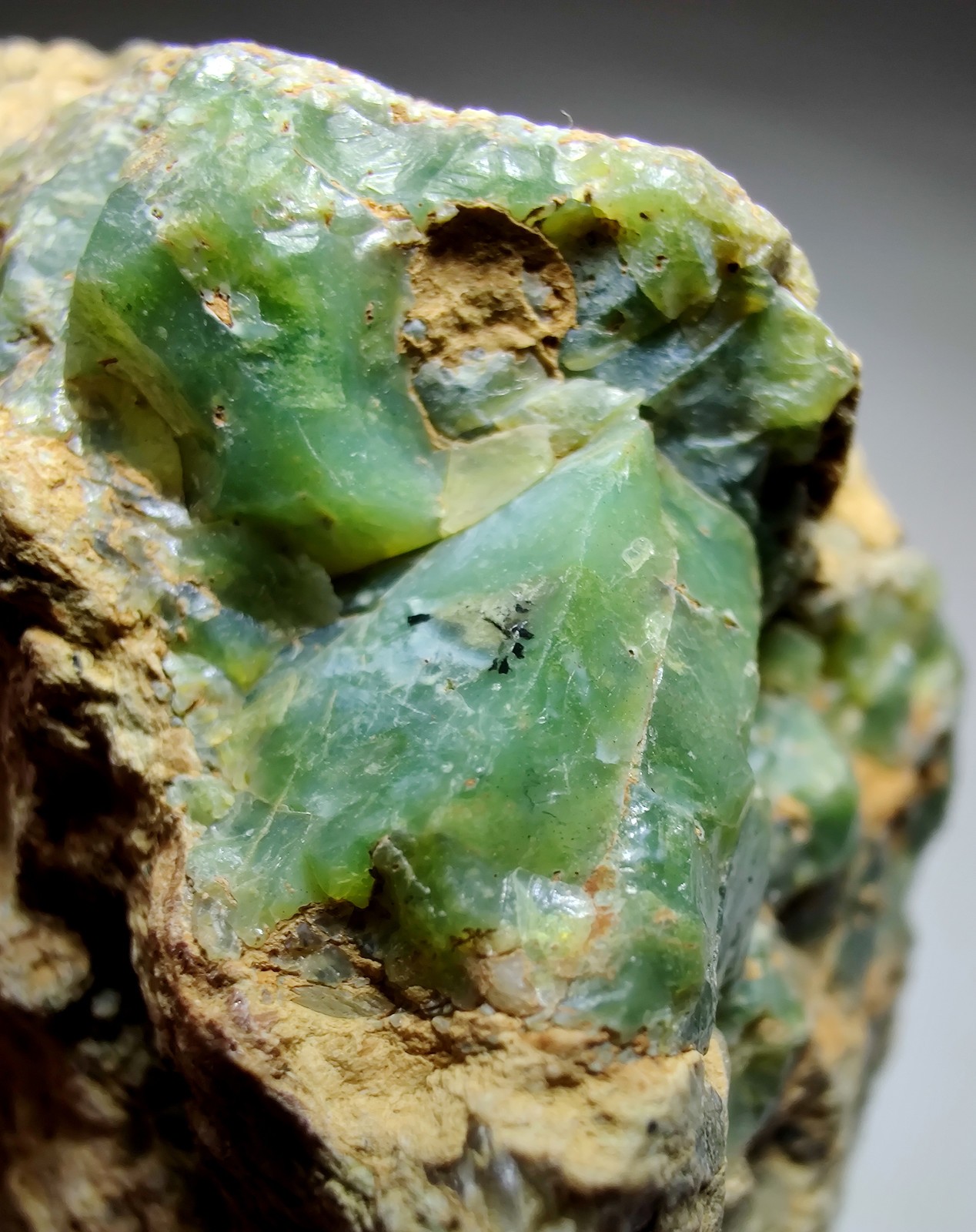 Opal on Sepentine with Magnetite, UV. San Benito, California. 213 grams.