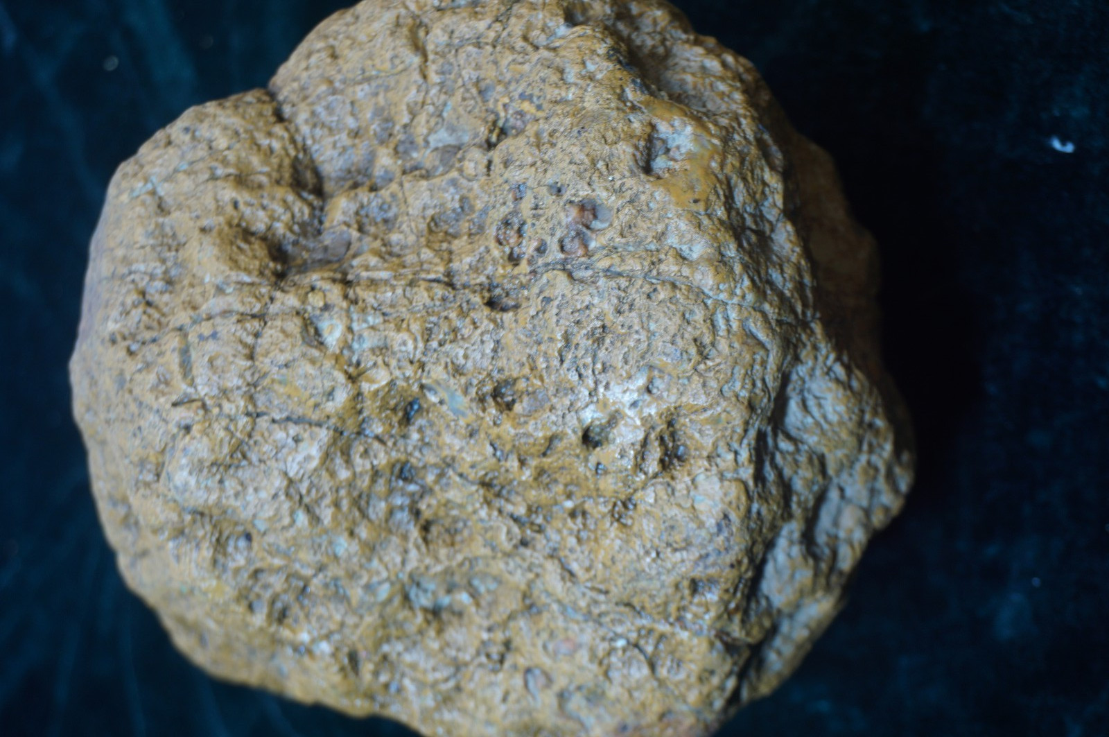 Kentucky Geode 19 Lbs.