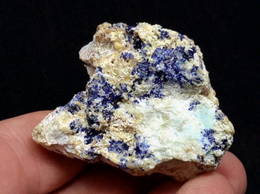 12 Piece AZURITE with QUARTZ and FLUORITE from Sierra Rica, Chihuahua, Mexico