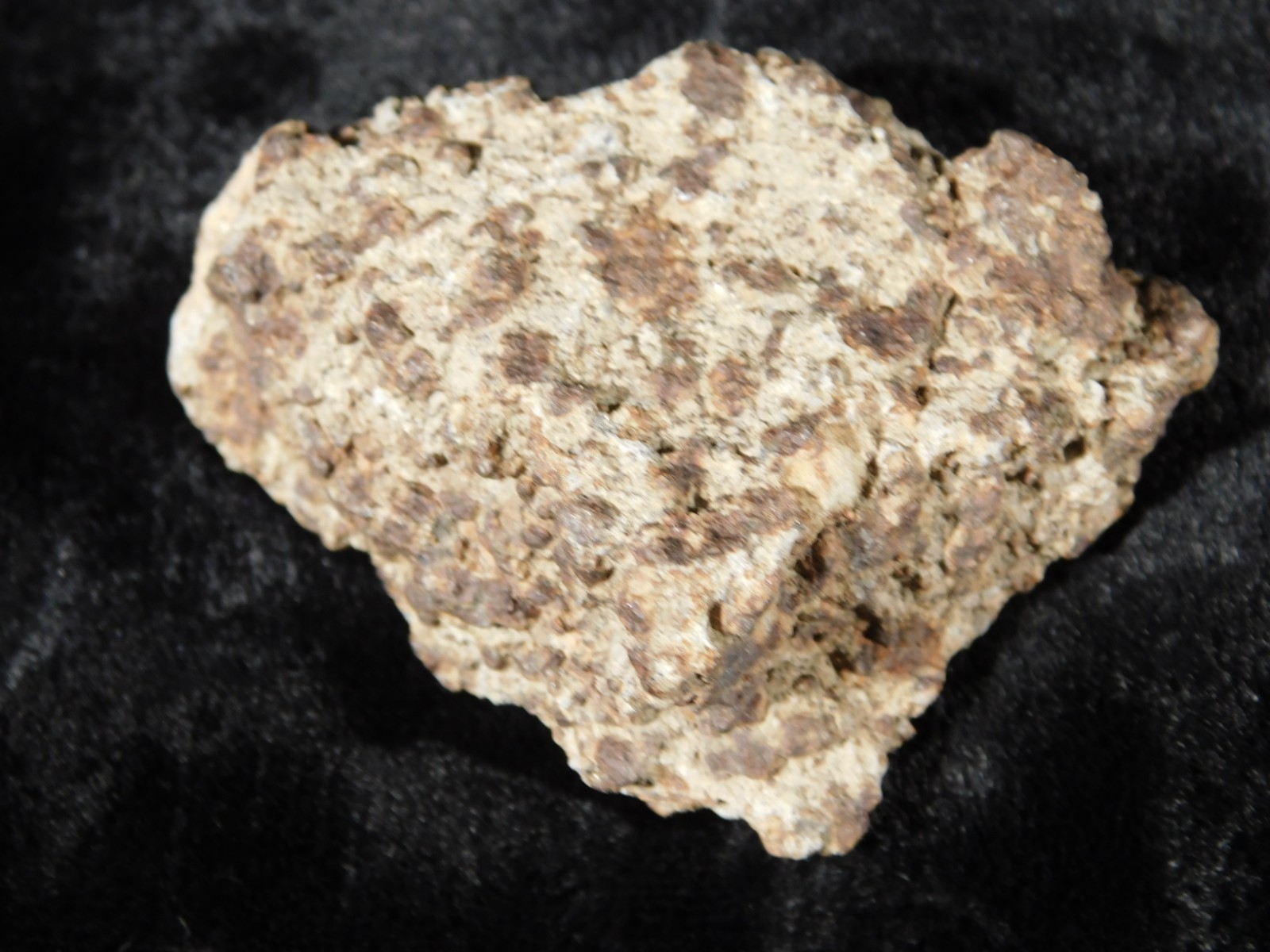 Classified NWA 8245 METEORITE Spots of Dark Fusion Crust! Erfoud, Morocco 51.6gr