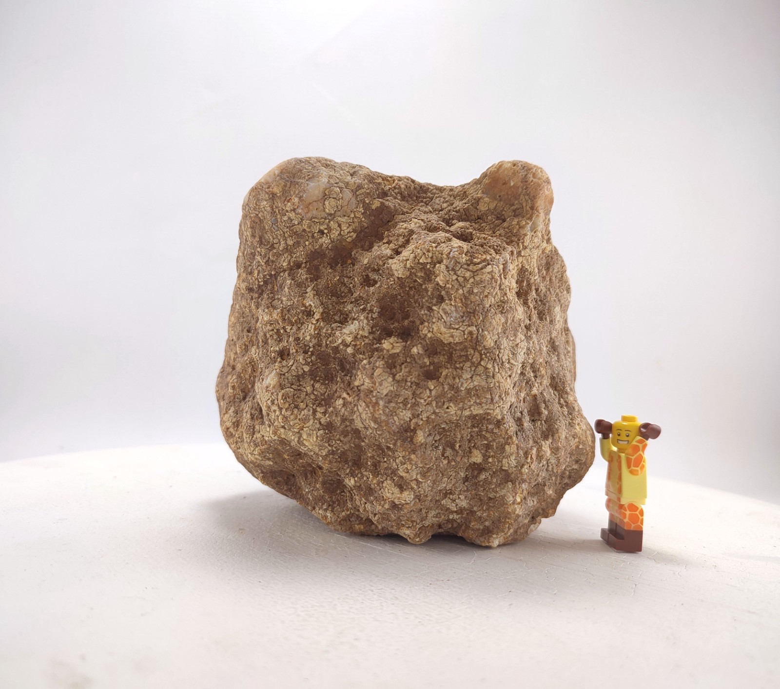 6″ Unopened Geode Break Your Own Hollow Rattler 4.7 LB Kentucky Quartz Crystal