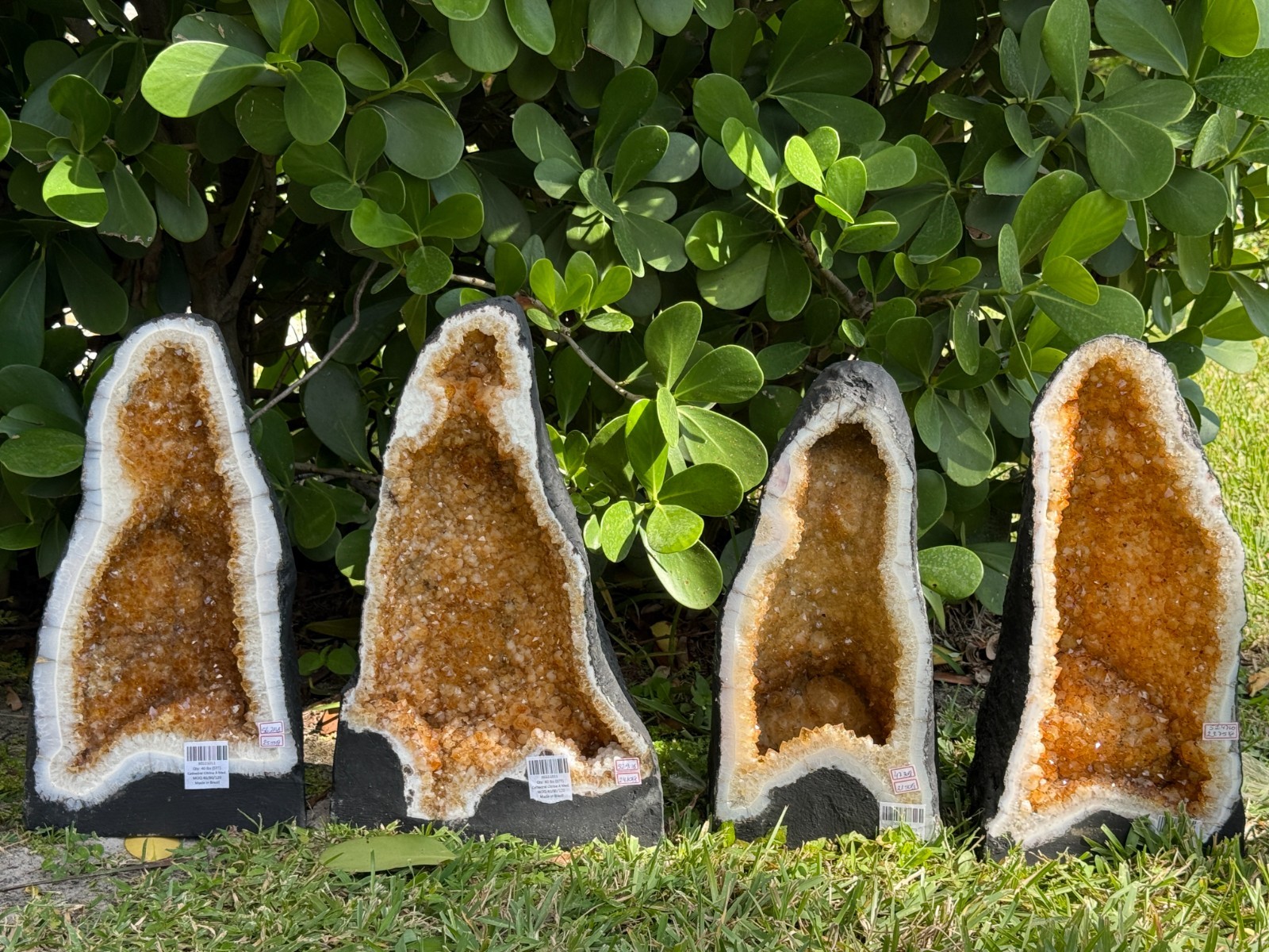 X-Large Citrine Cathedral, Citrine Geode, Honey Citrine Cluster, Pick a Weight