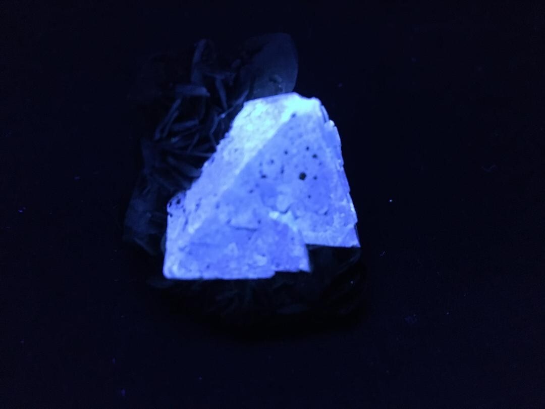 KB: SW FL BRIGHT BLUE/WHITE XL OF SCHEELITE IN MATRIX, SICHUAN PROVINCE, CHINA