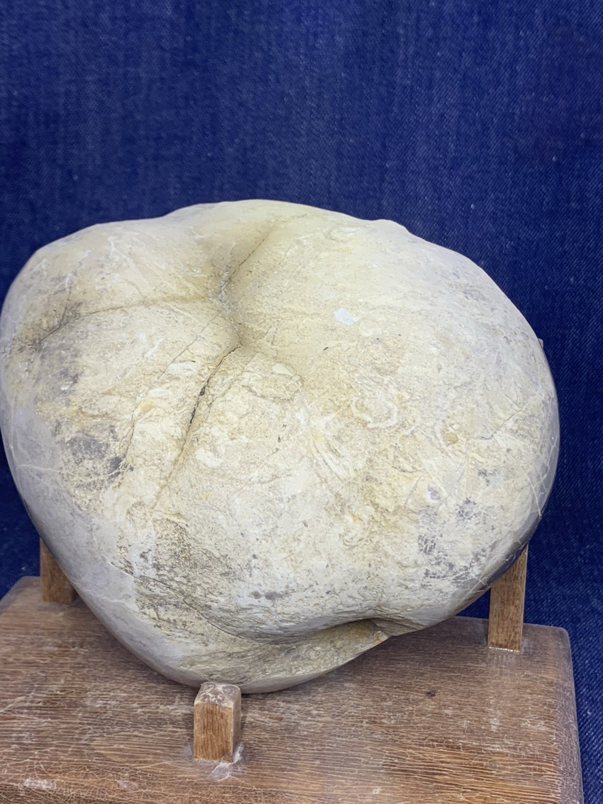 Septarian Nodule Hollow Free Form (Utah) Description Card