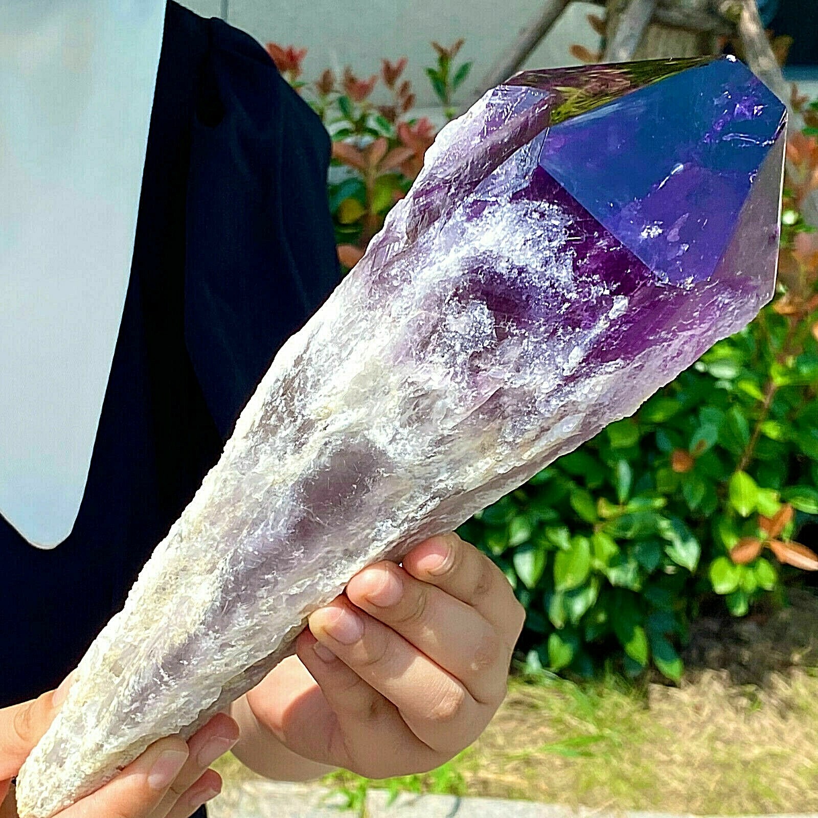 Random large Natural Amethyst Scepter Healing Specimen