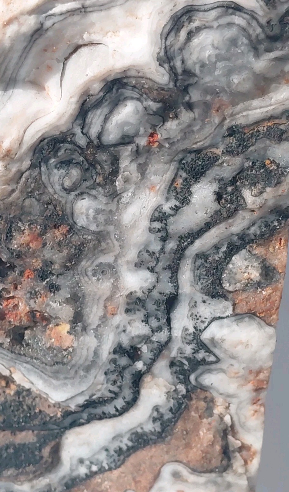 Zebra Calcite Self-Standing Display 1 1/4 Lb Dendritic Psychedelic Crisp Bands