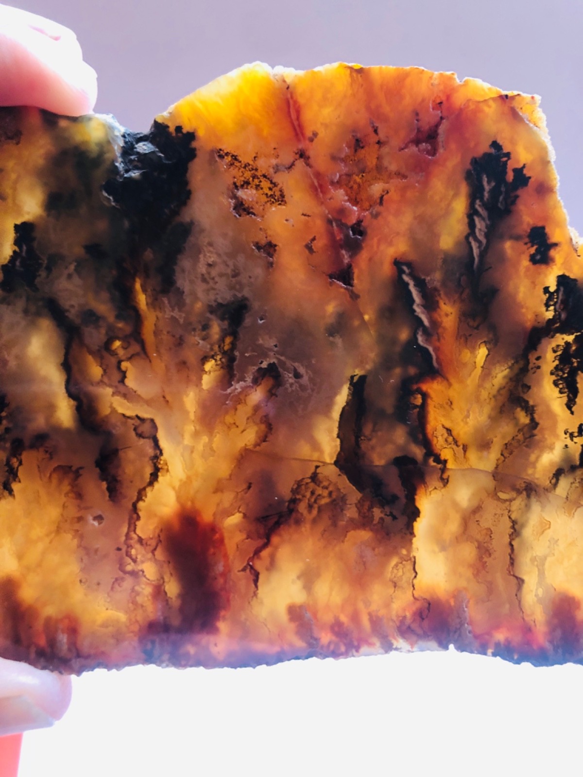 Graveyard Plume Agate Museum Grade Collectors Slab Oregon 202 Grams