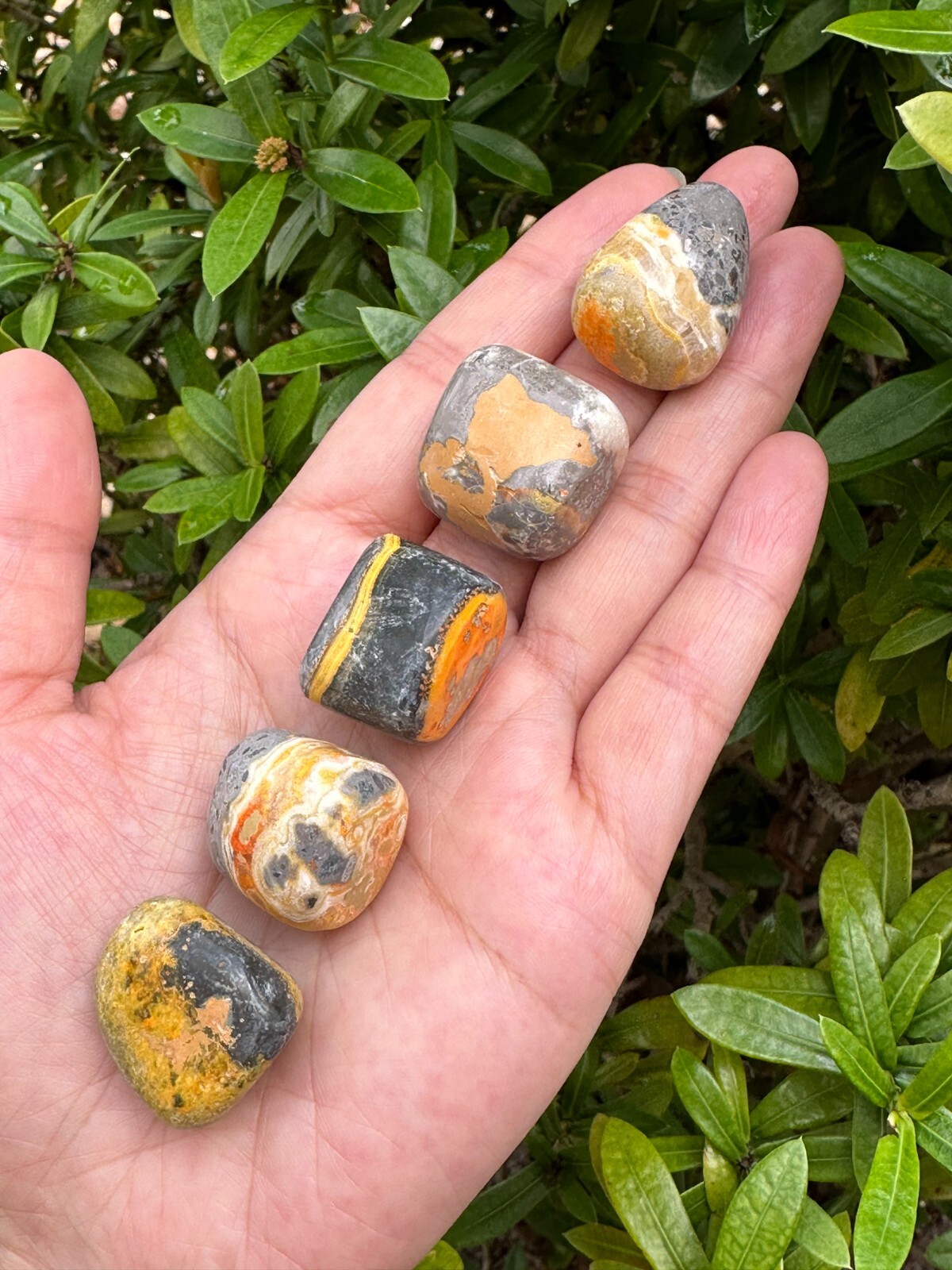 Grade A++ Bumblebee Jasper Tumbled Stones, 0.75-1.25″ Tumbled Bumblebee Jasper