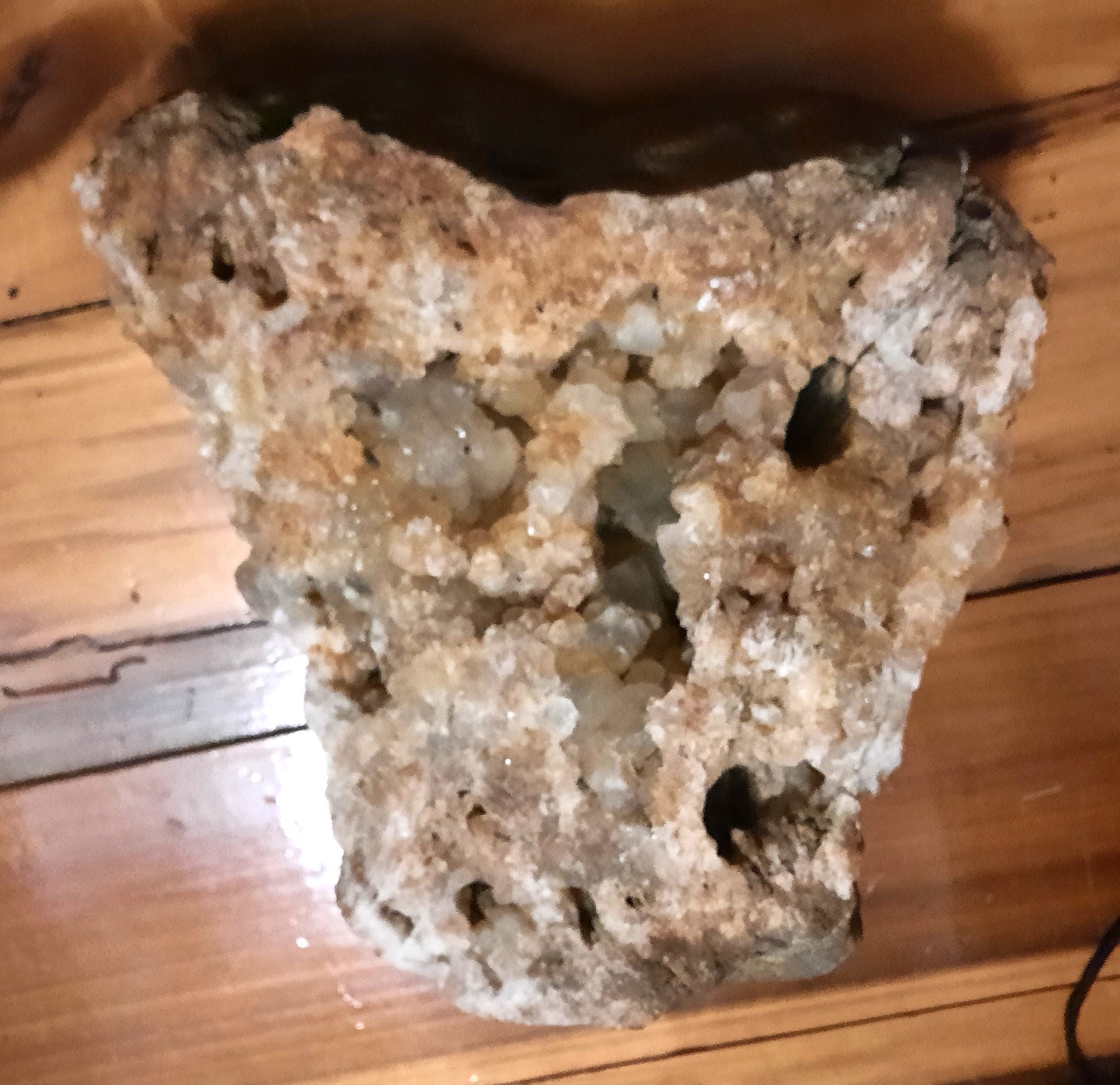 Large 10″, 13.2 lb Kentucky Calcite Geode Half with Crystals Everywhere