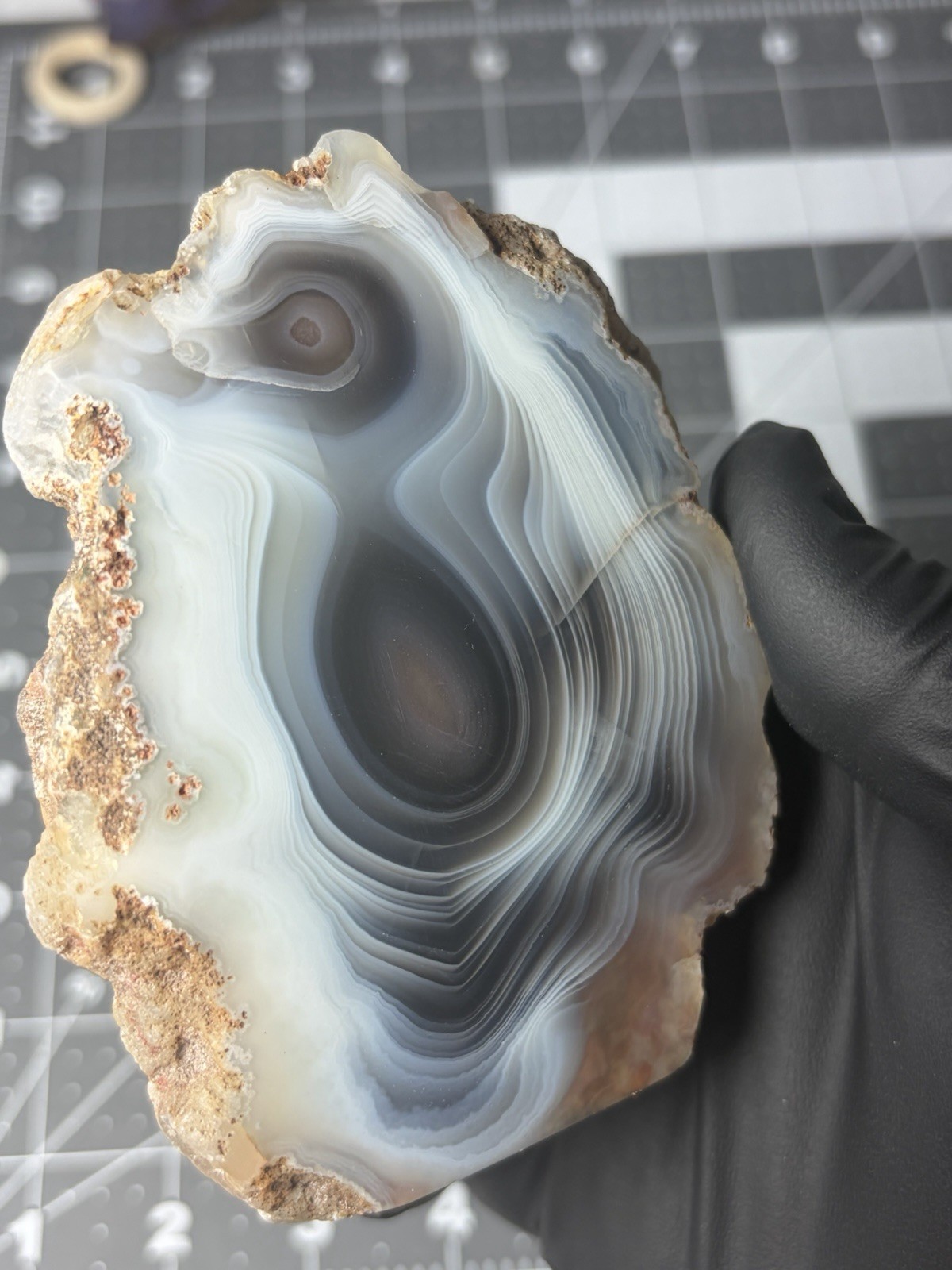 Beautiful Botswana Agate Free Form “penguin” Banding